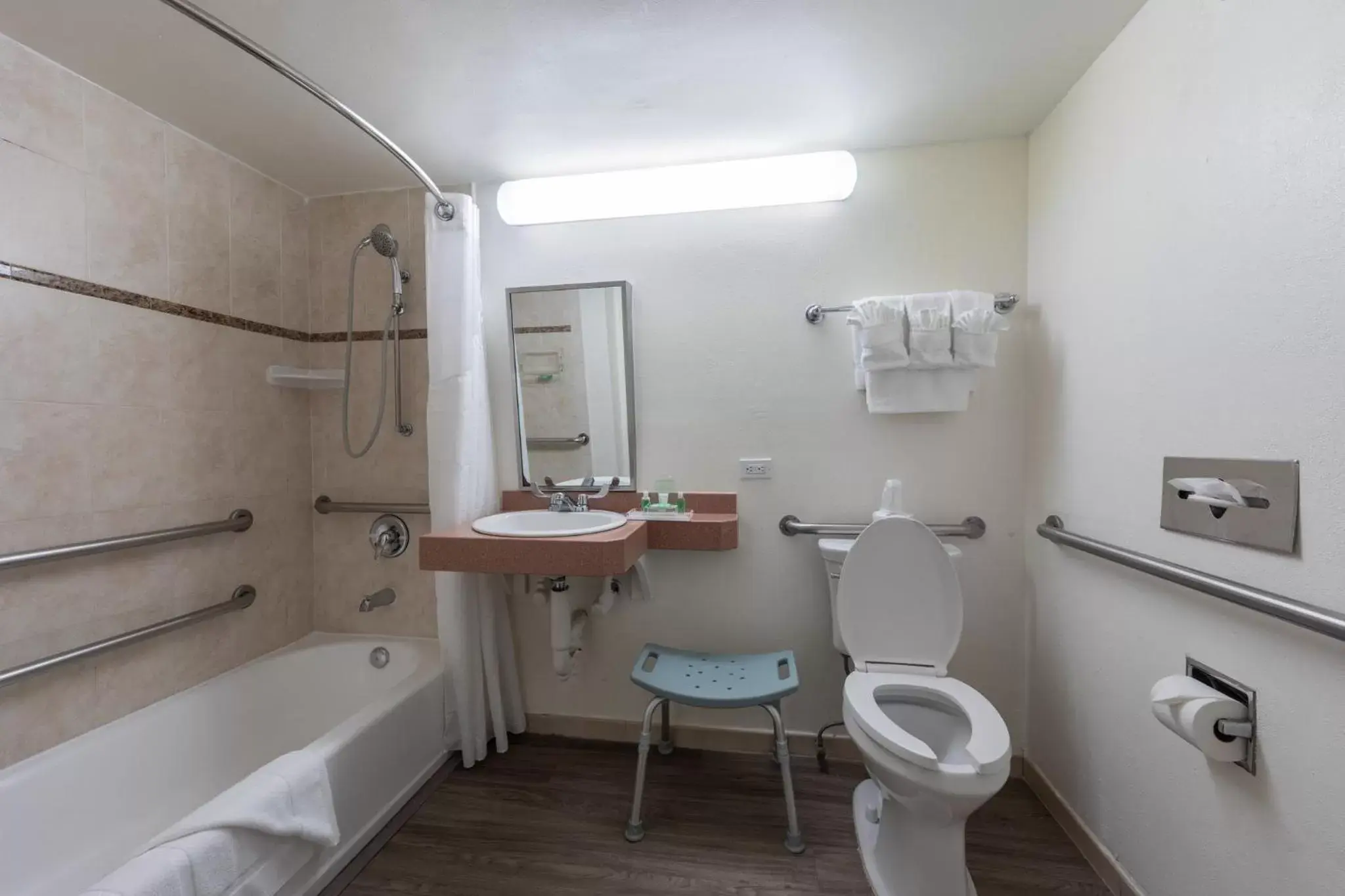 Bathroom in Holiday Inn Hotel Port of Miami-Downtown, an IHG Hotel