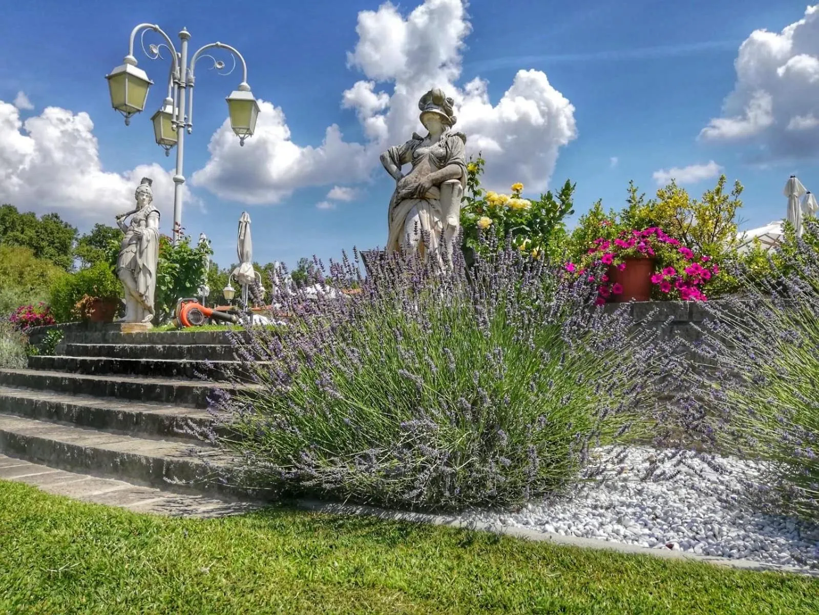 Garden in Ludwig Boutique Hotel & Spa