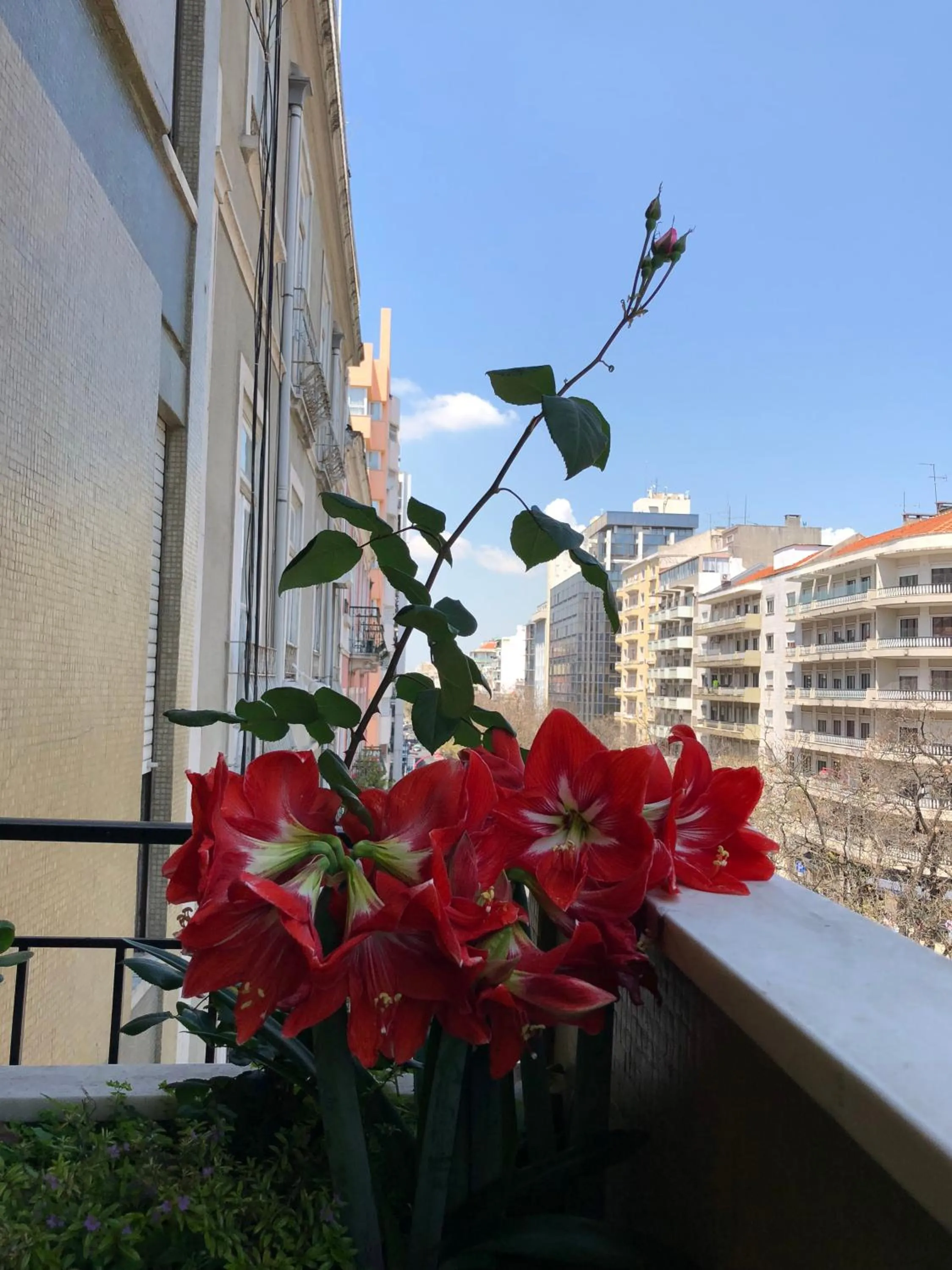 View (from property/room) in Imperador Hotel