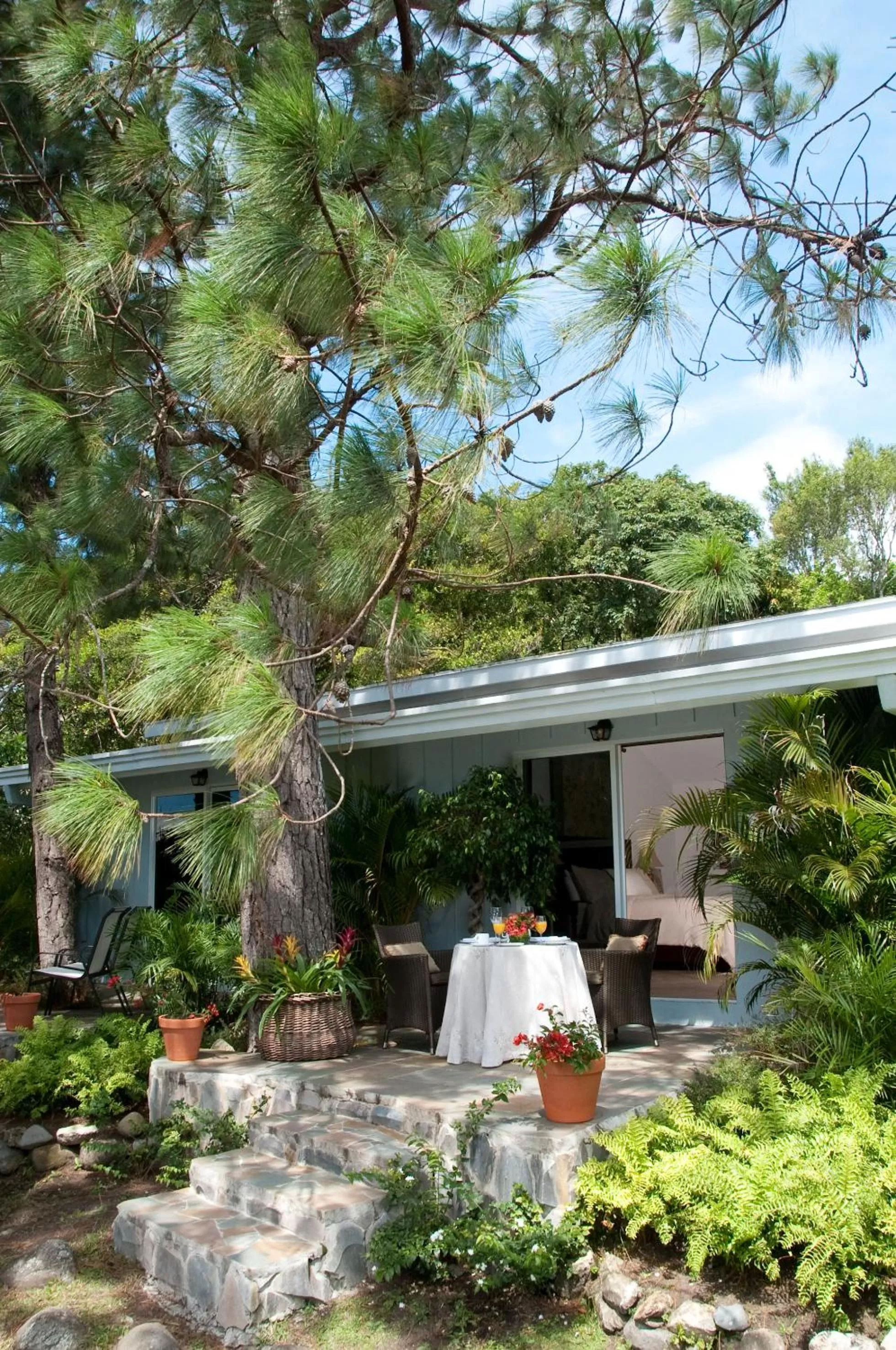 Balcony/Terrace in Hotel Panamonte