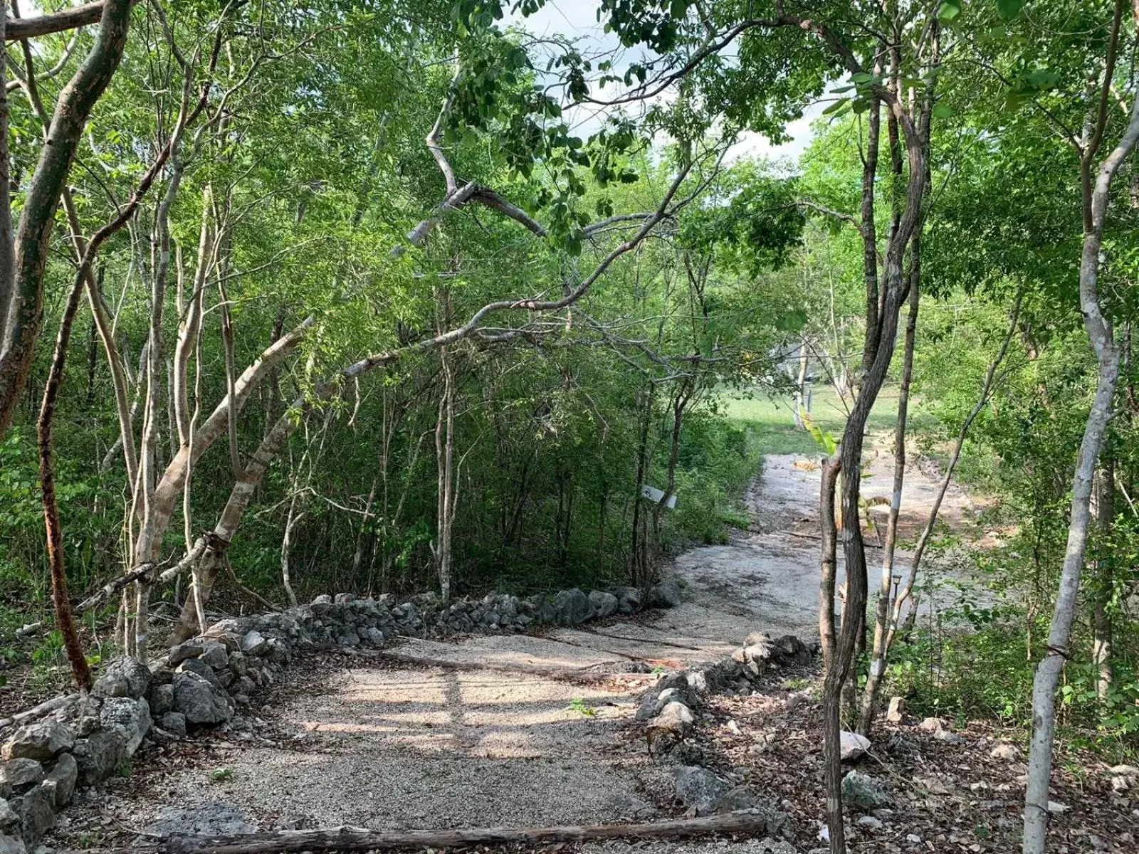 Natural landscape in El Encanto - Hotel Boutique & Spa