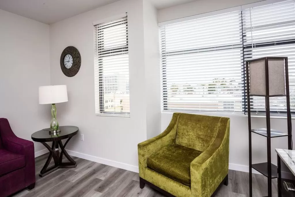 Seating Area in One Bedroom Apartment with Luxurious Furnitures