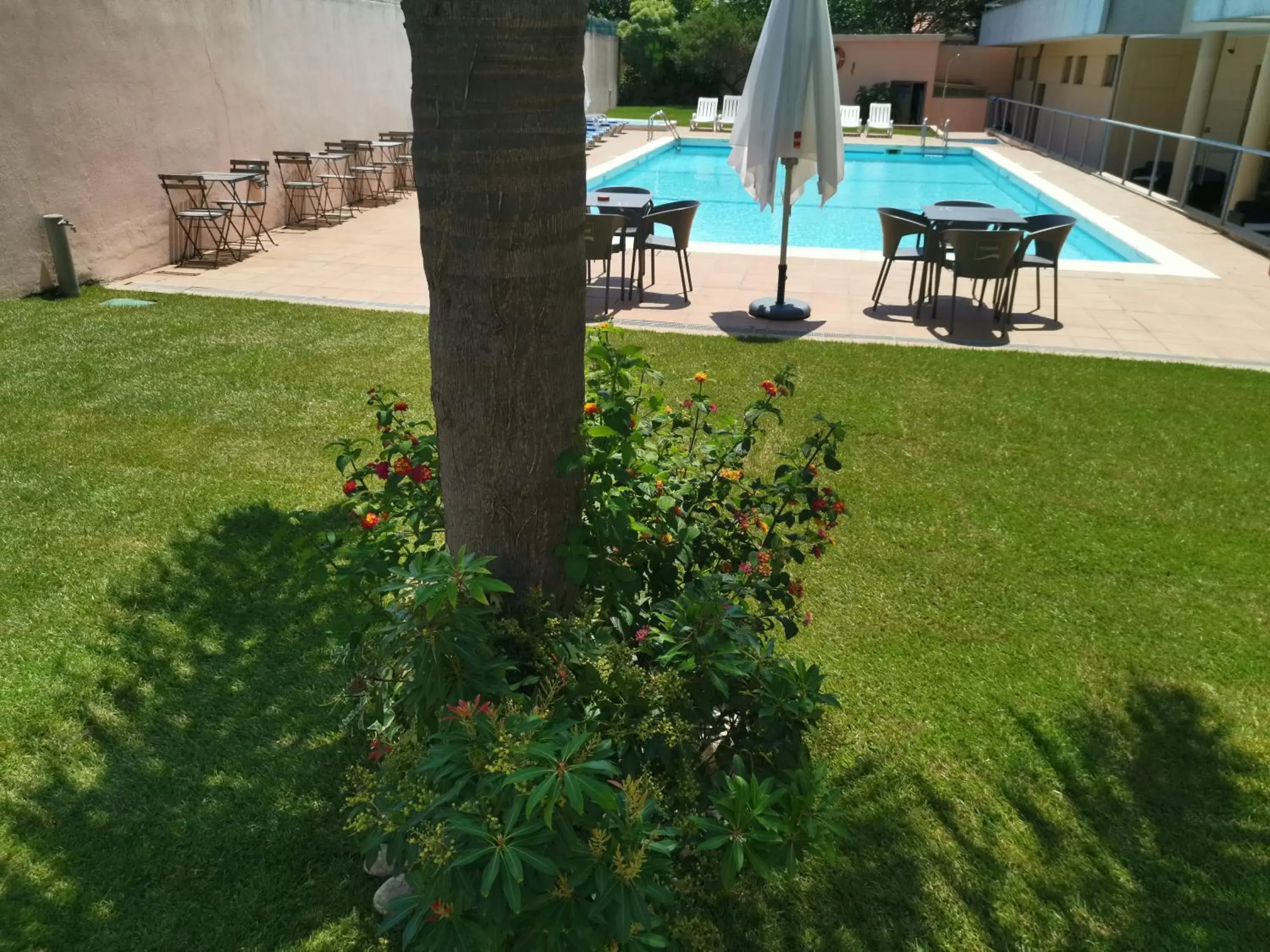 Garden, Swimming Pool in Hotel La Fontaine