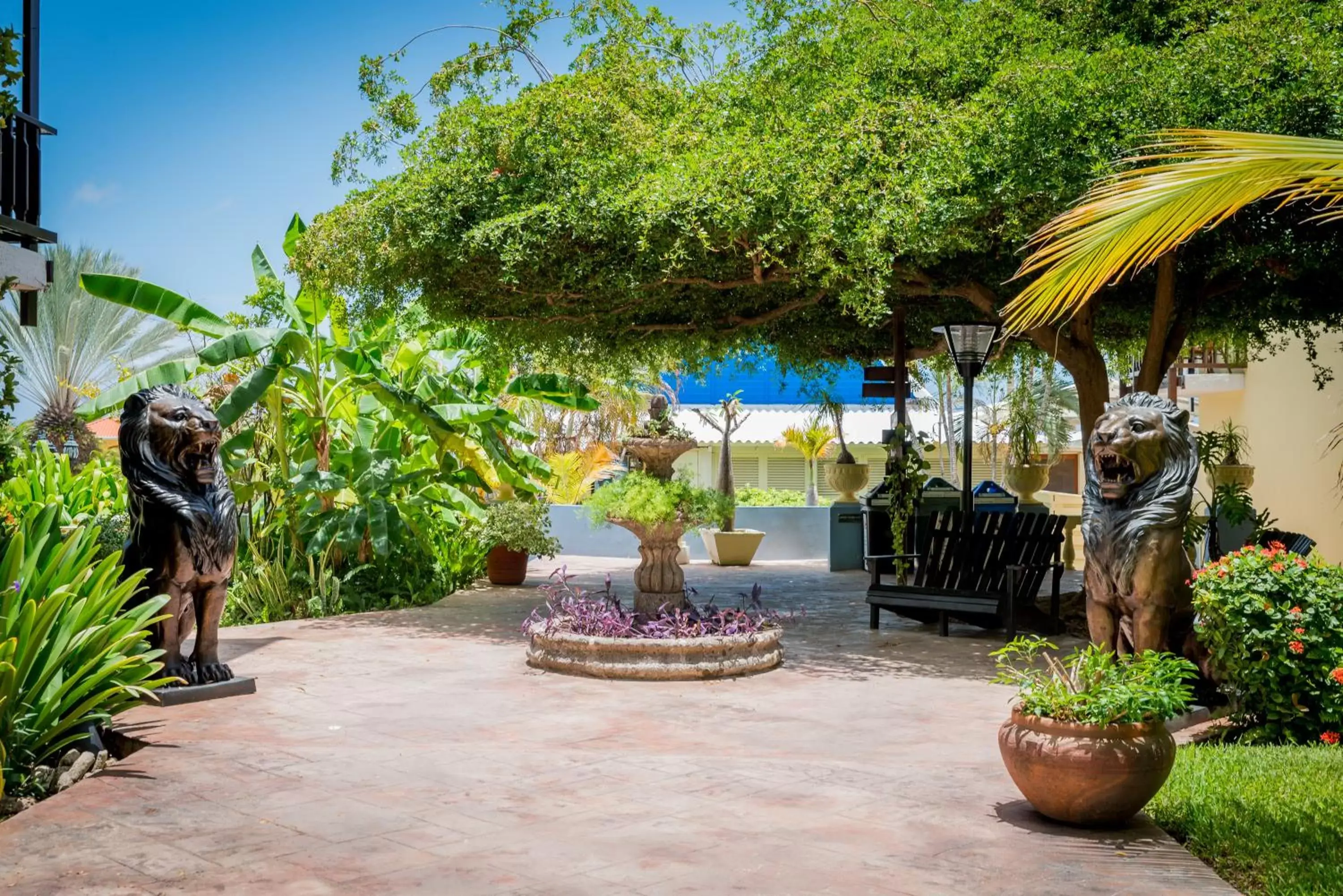 Lobby or reception in LionsDive Beach Resort