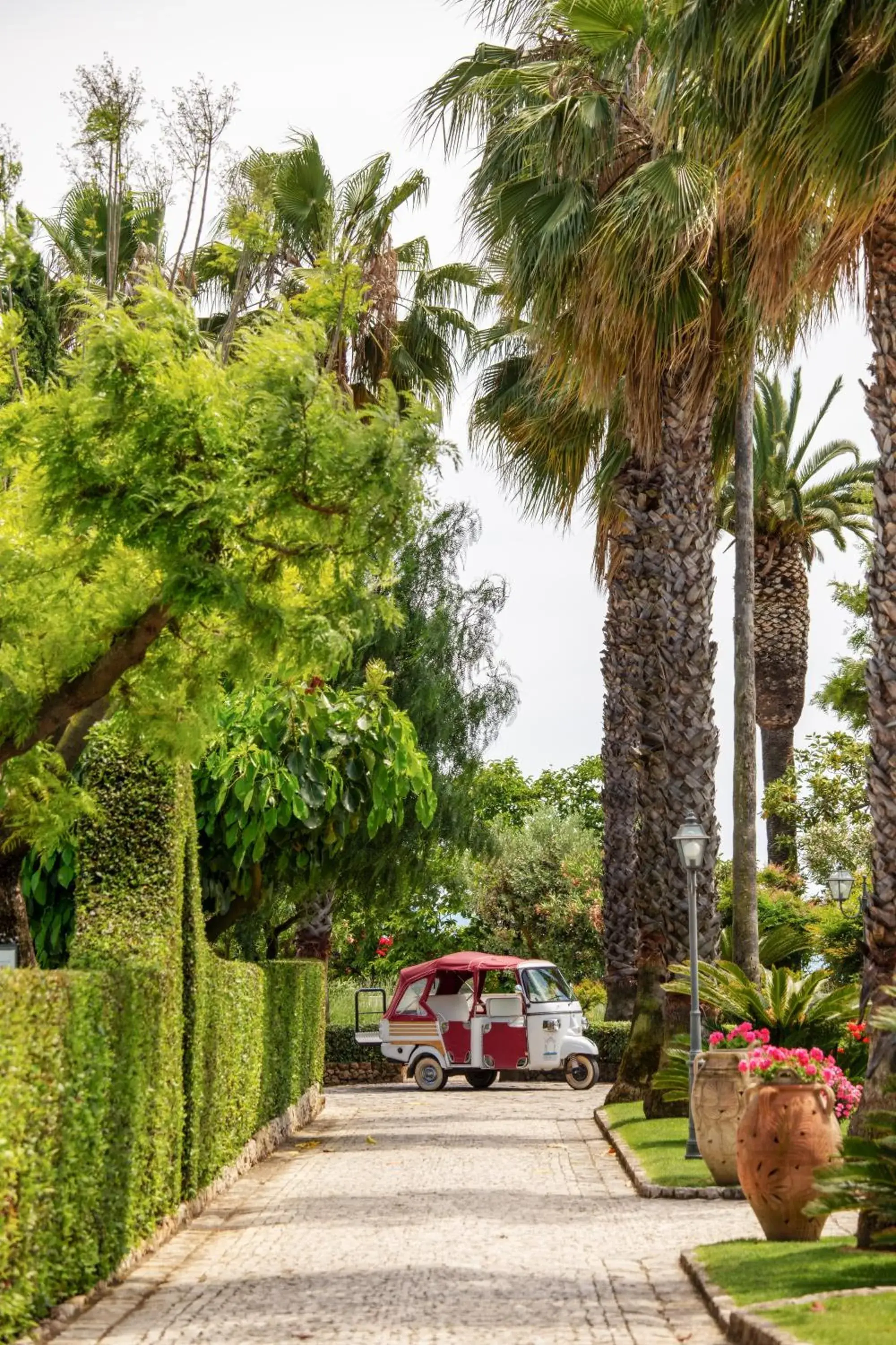 Garden in Villa Irlanda Grand Hotel