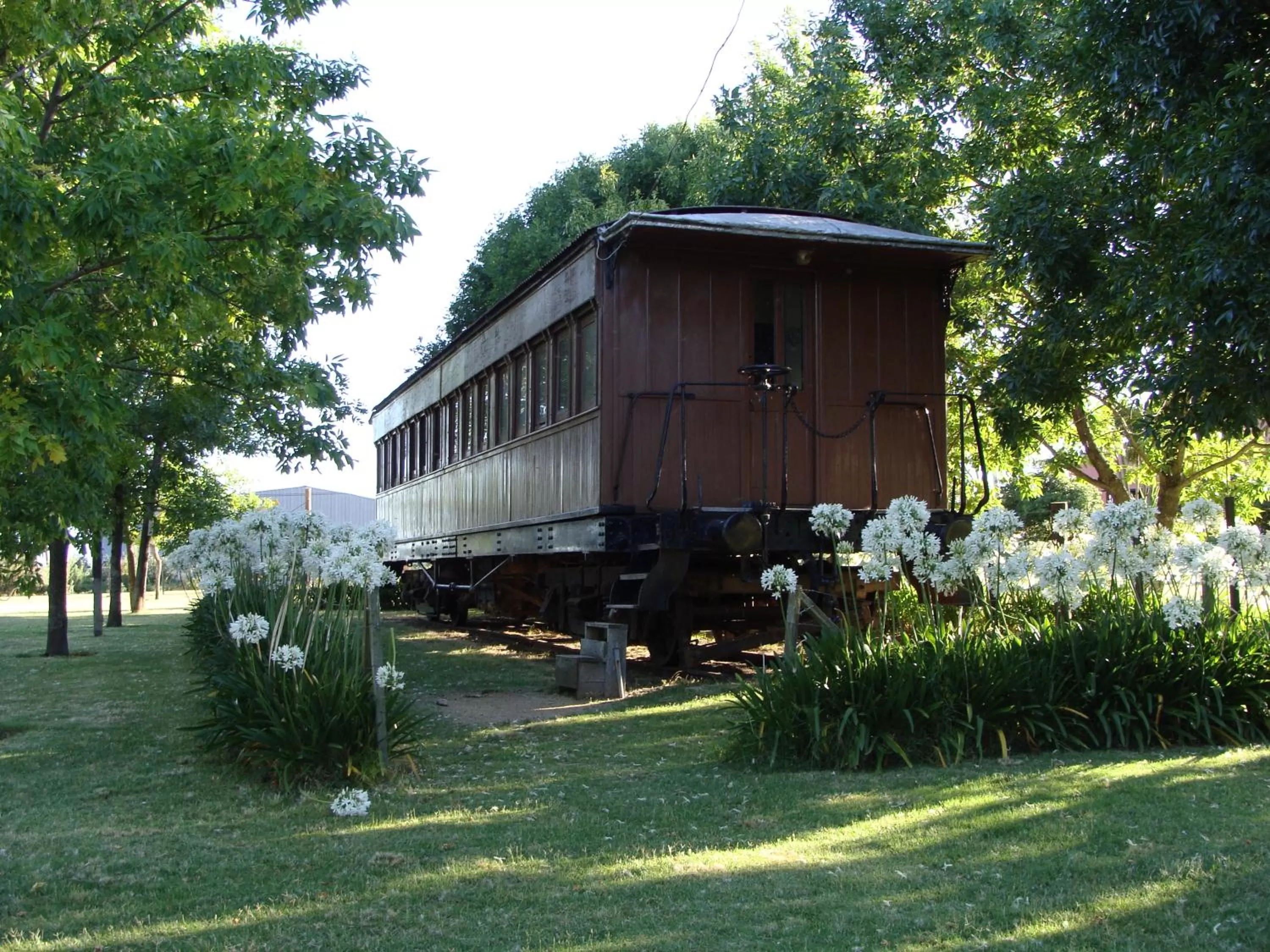 Entertainment in Estancia Renacimiento
