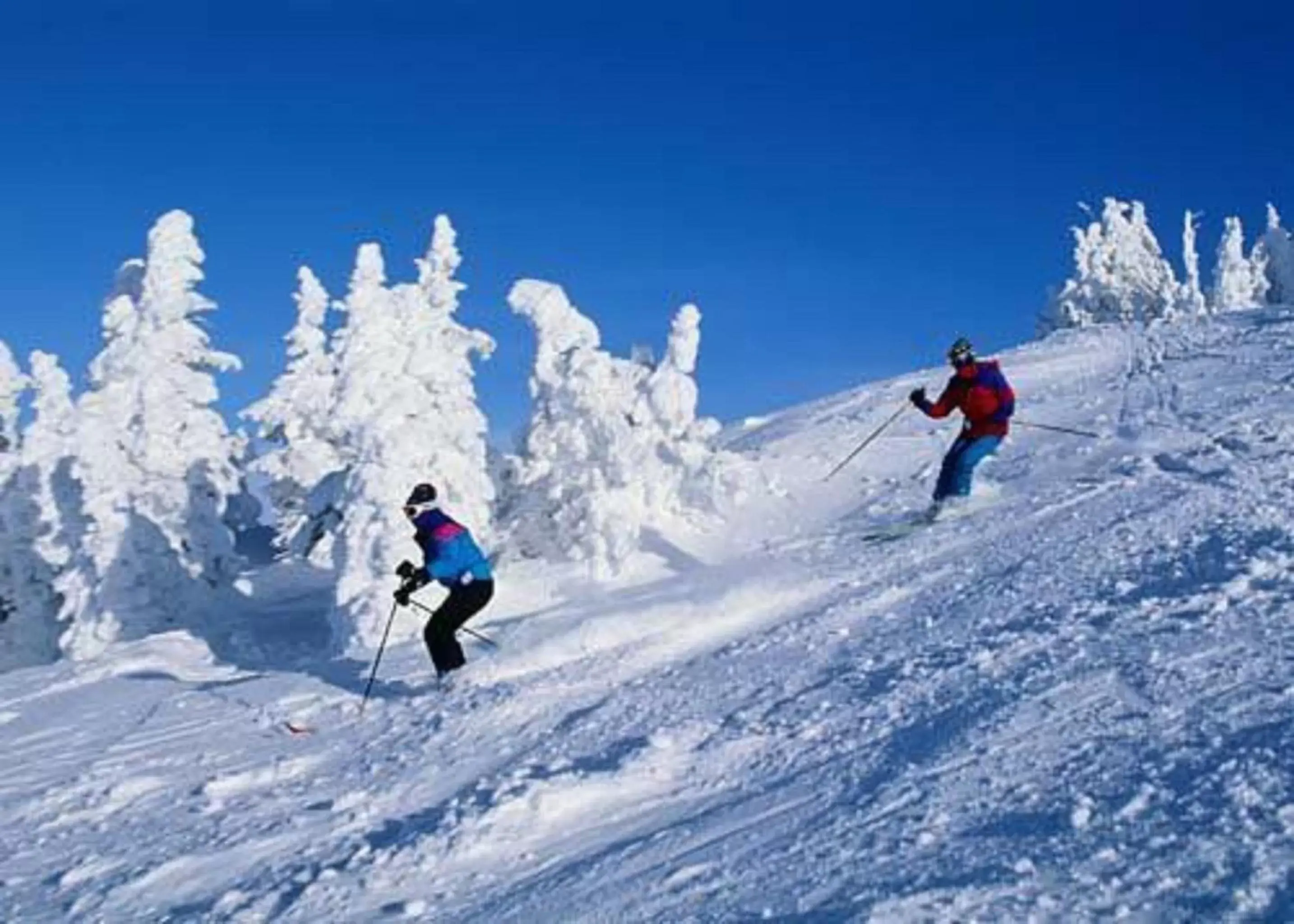 Skiing, Winter in The Chateau Resort