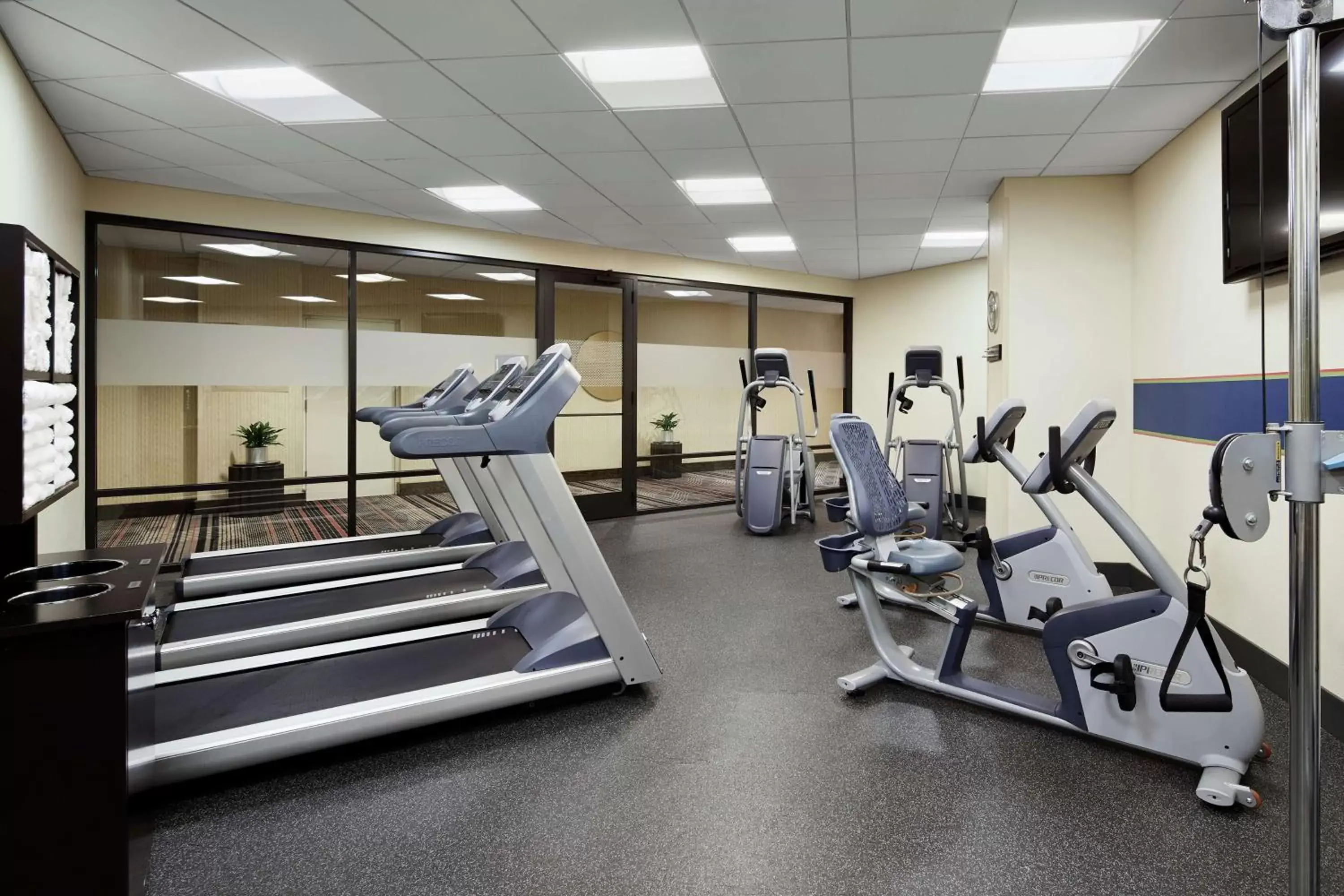 Fitness centre/facilities, Fitness Center/Facilities in Hampton Inn & Suites Mt. Prospect