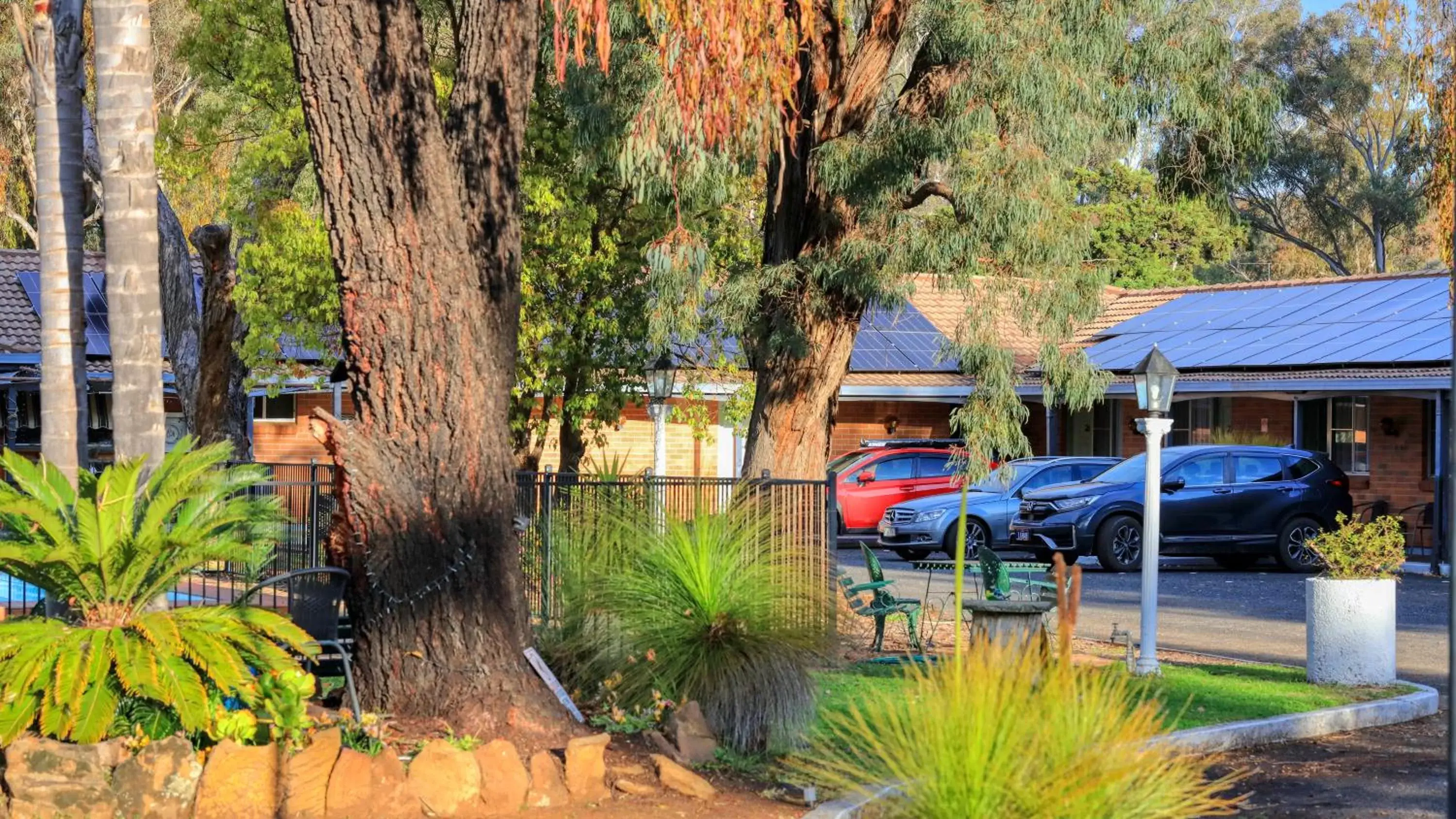 Garden view in Matthew Flinders Motor Inn