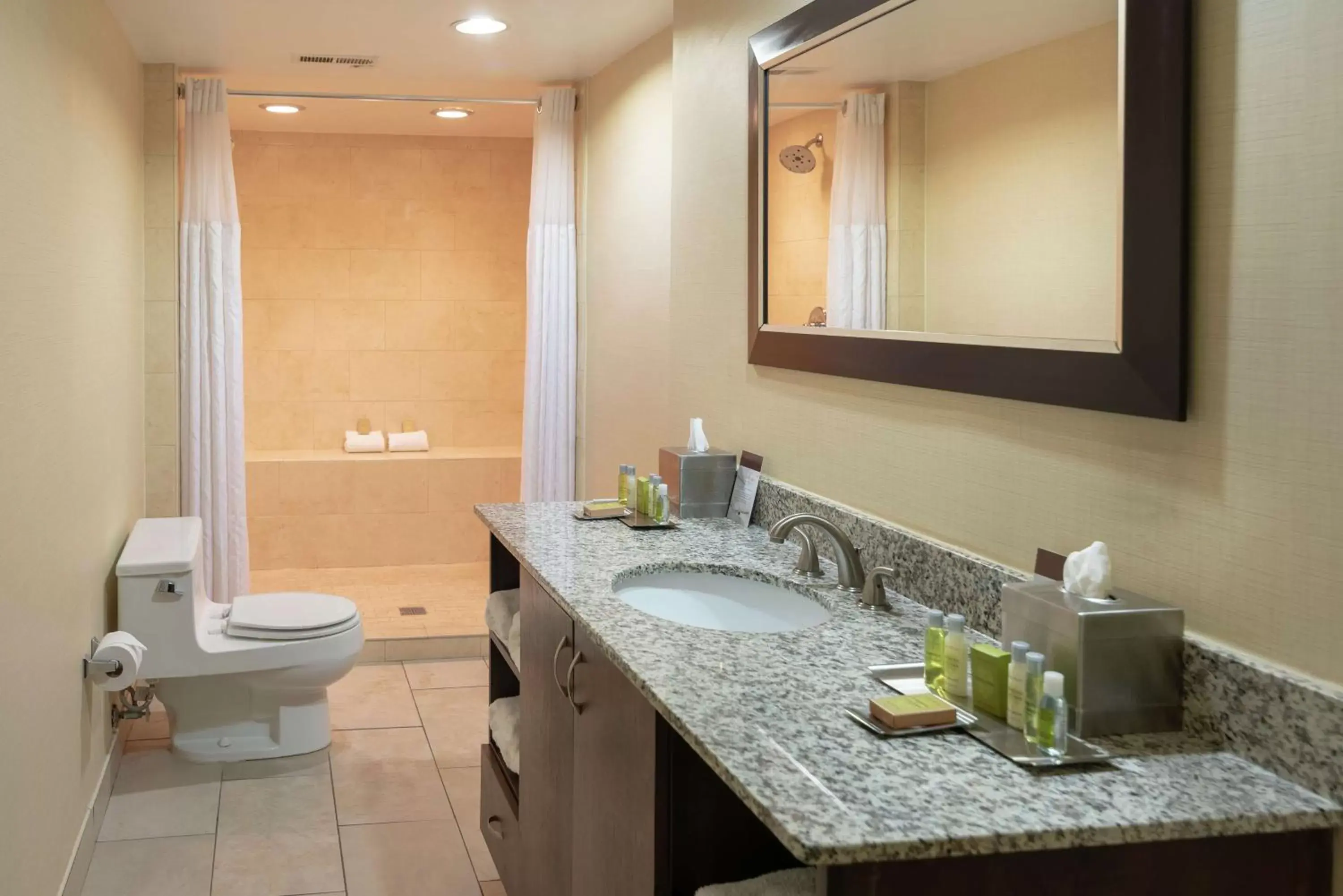 Bathroom in DoubleTree by Hilton Norfolk Airport
