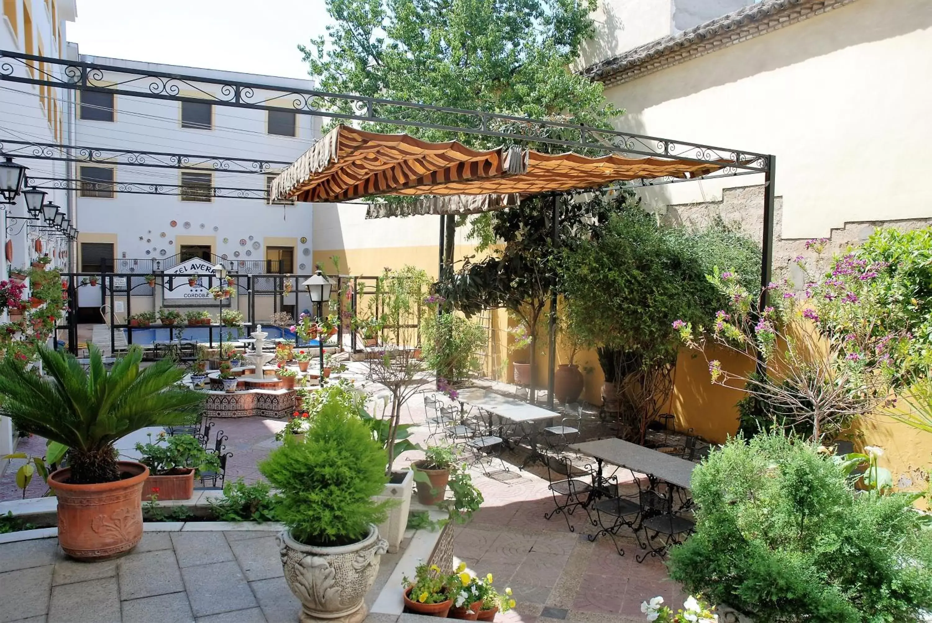 Patio, Property Building in Hotel Averroes