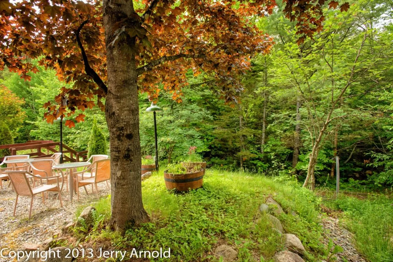 Natural landscape in Snowy Owl Inn