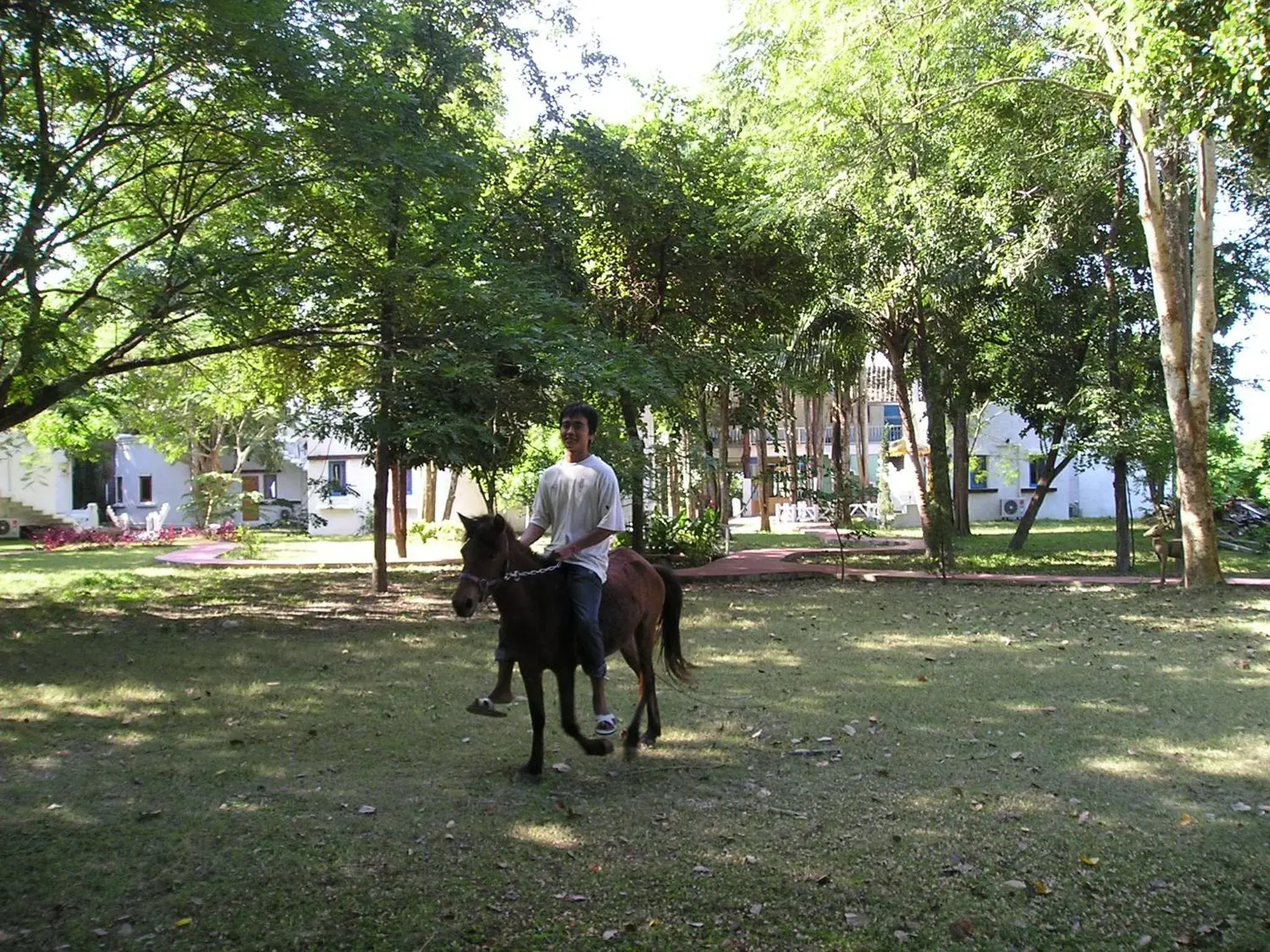 Horseback Riding in Scenic Riverside Resort