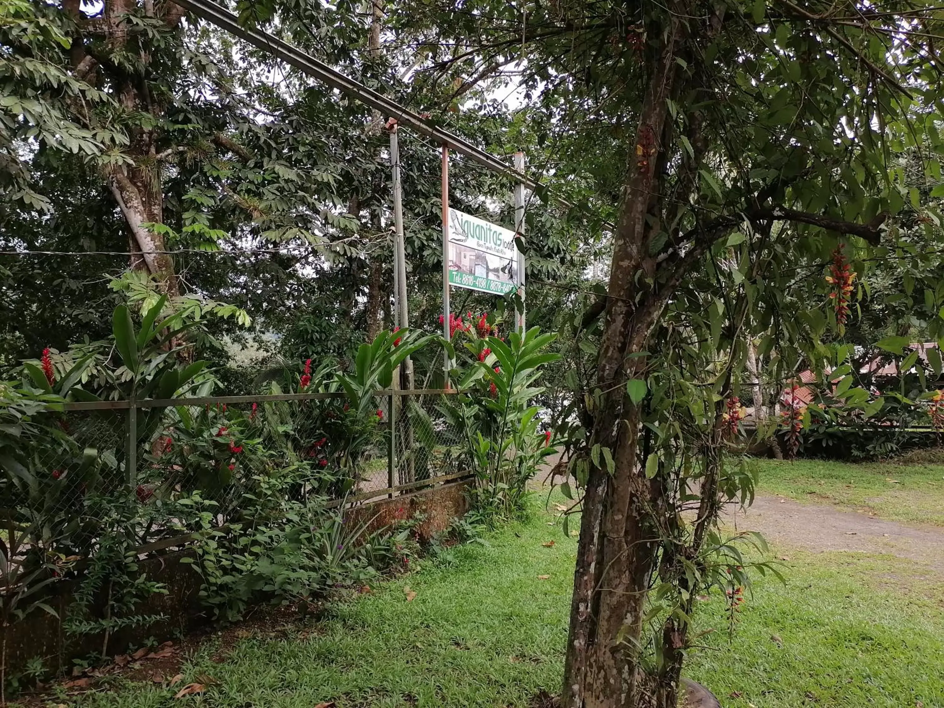 Garden in Iguanitas Lodge