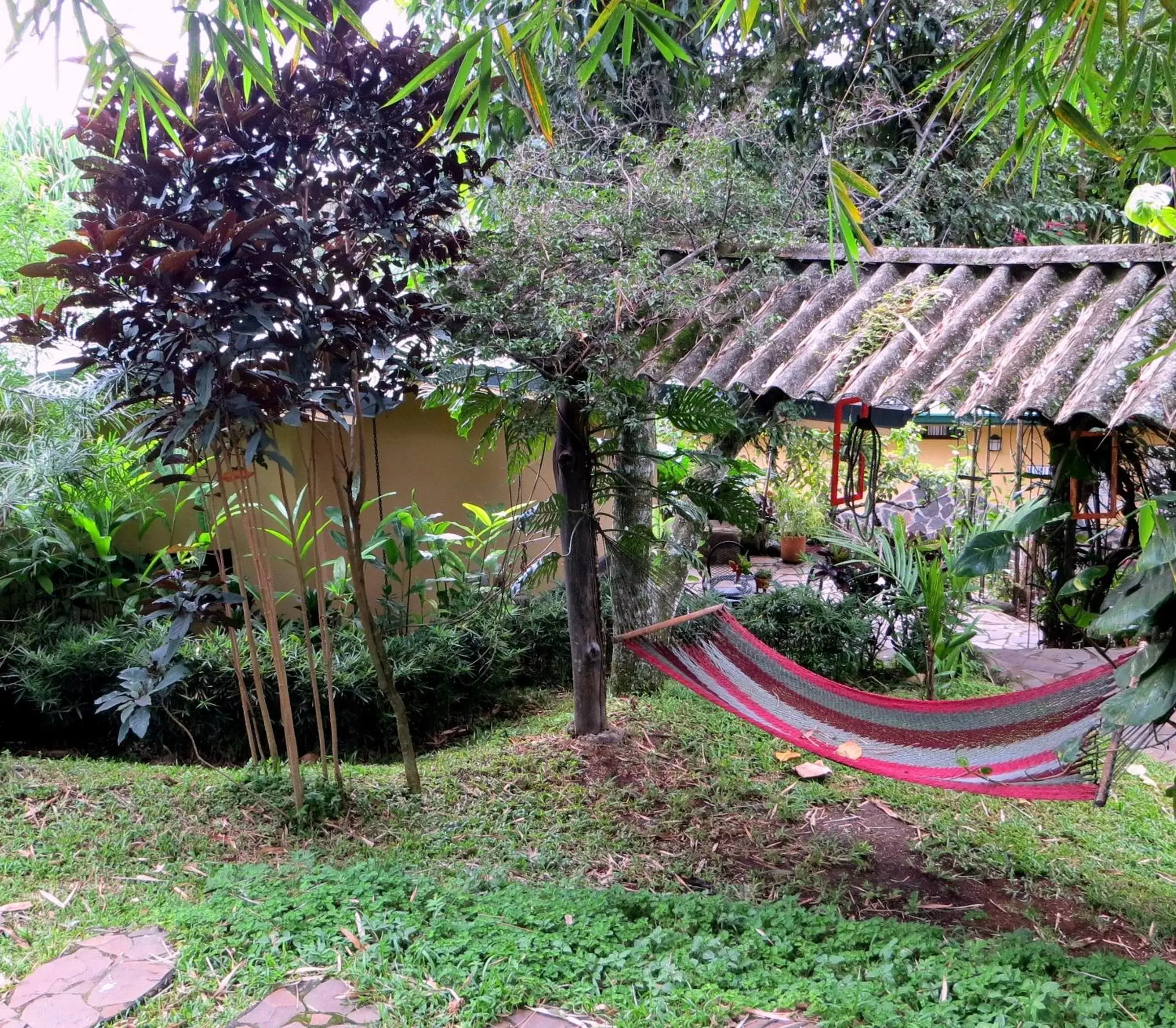 Patio, Garden in Pura Vida Hotel
