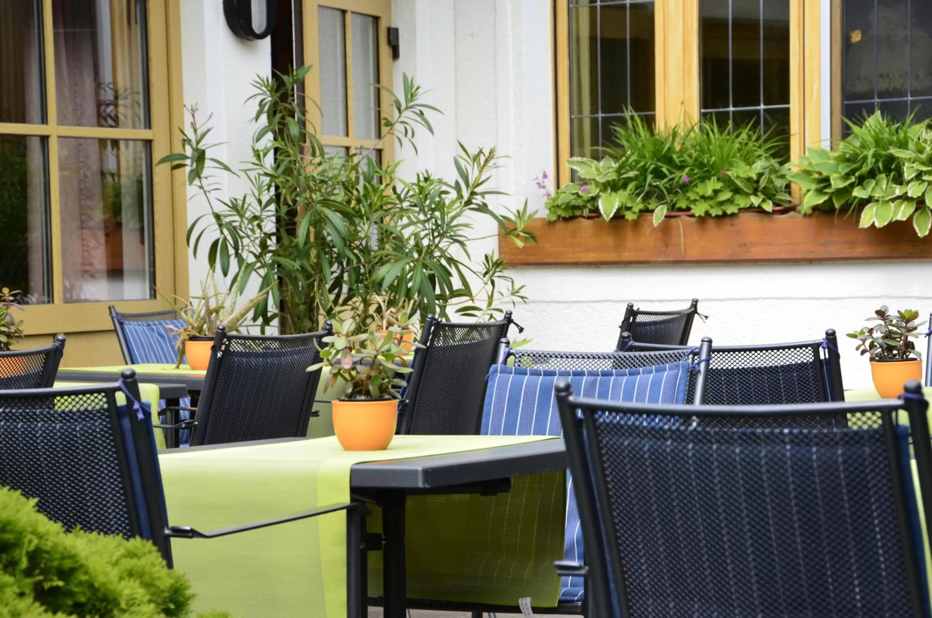 Patio in Hotel Gasthof Am Forsthof