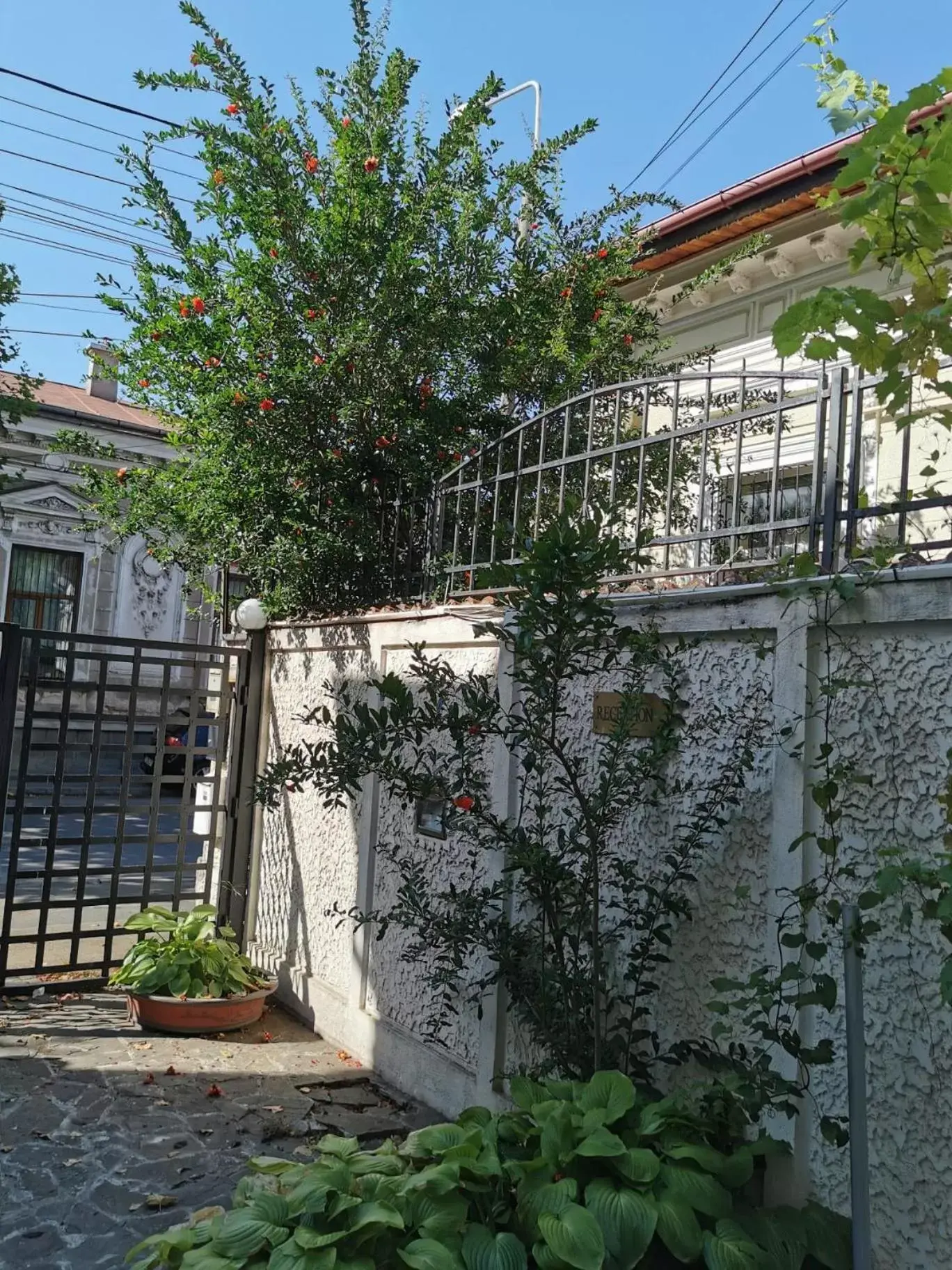 Garden, Property Building in Prince Residence Apartments