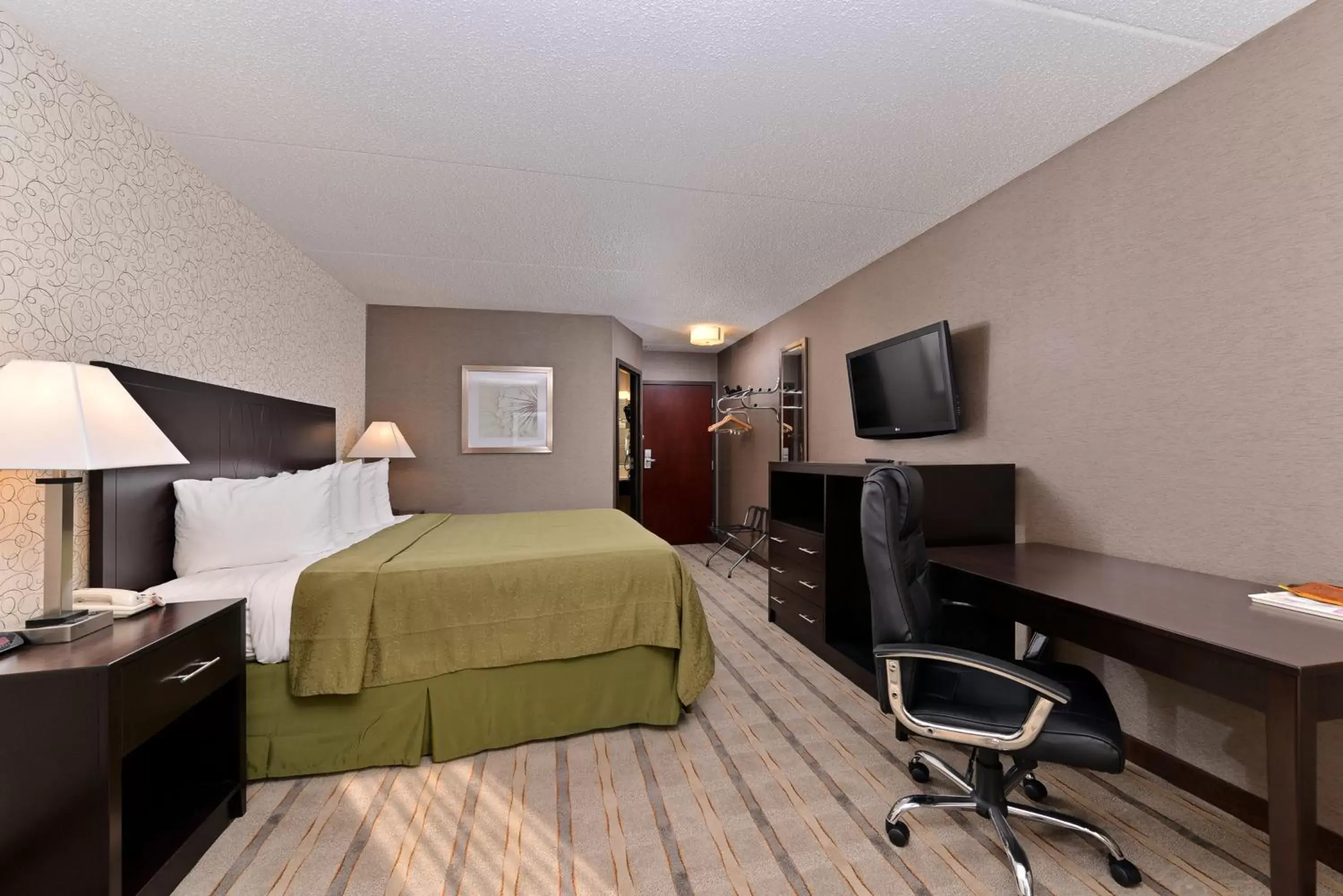 Bedroom, TV/Entertainment Center in Quality Inn & Suites Matteson near I-57