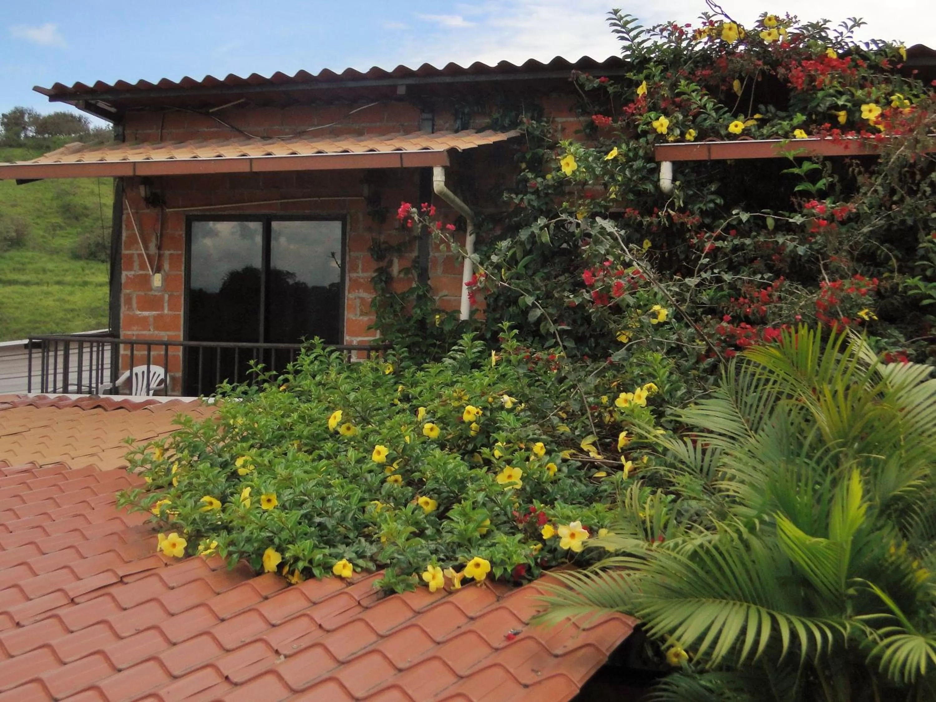 Garden in Hosteria Florecer