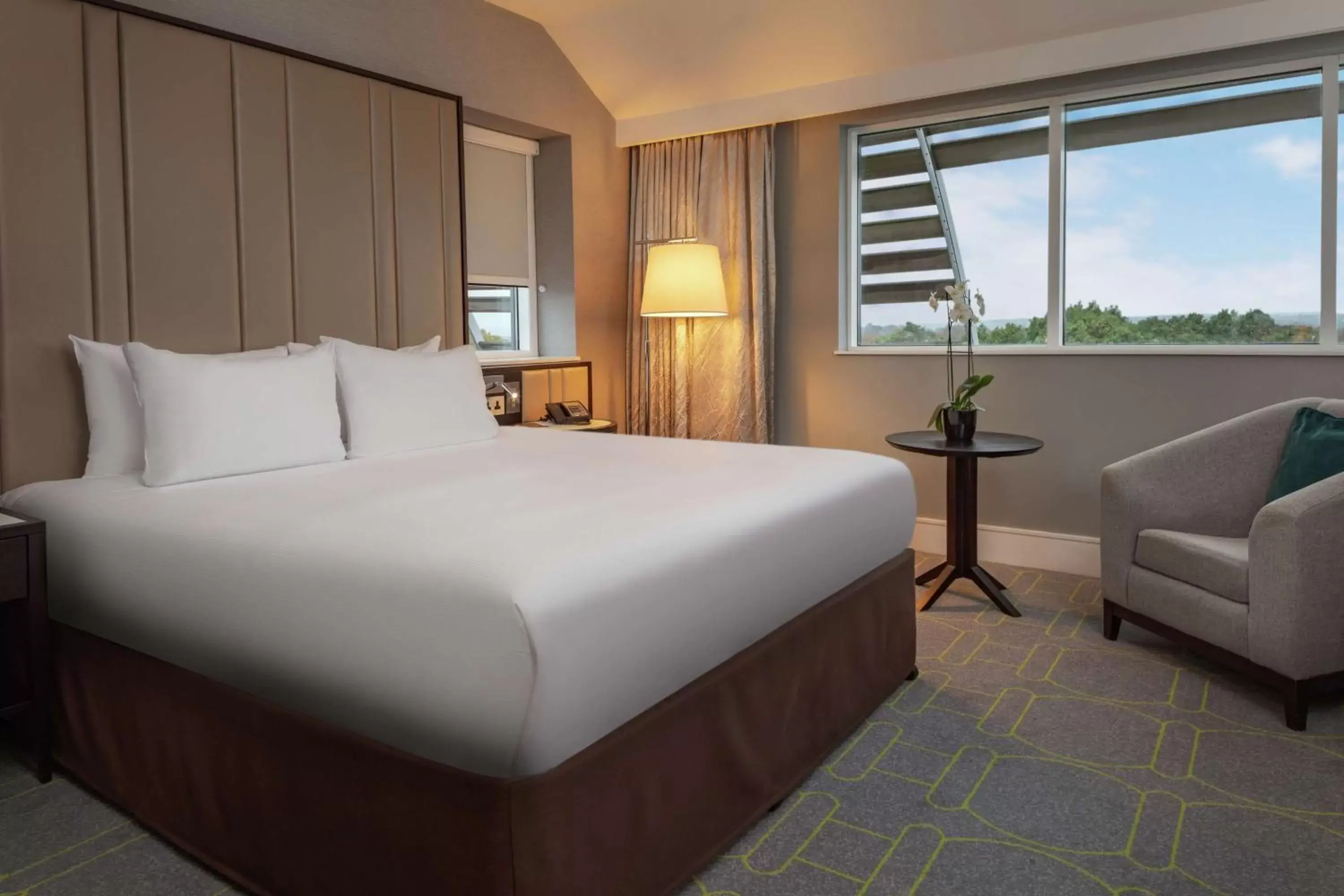Bed in Hilton Southampton - Utilita Bowl Bed in Hilton Southampton - Utilita Bowl