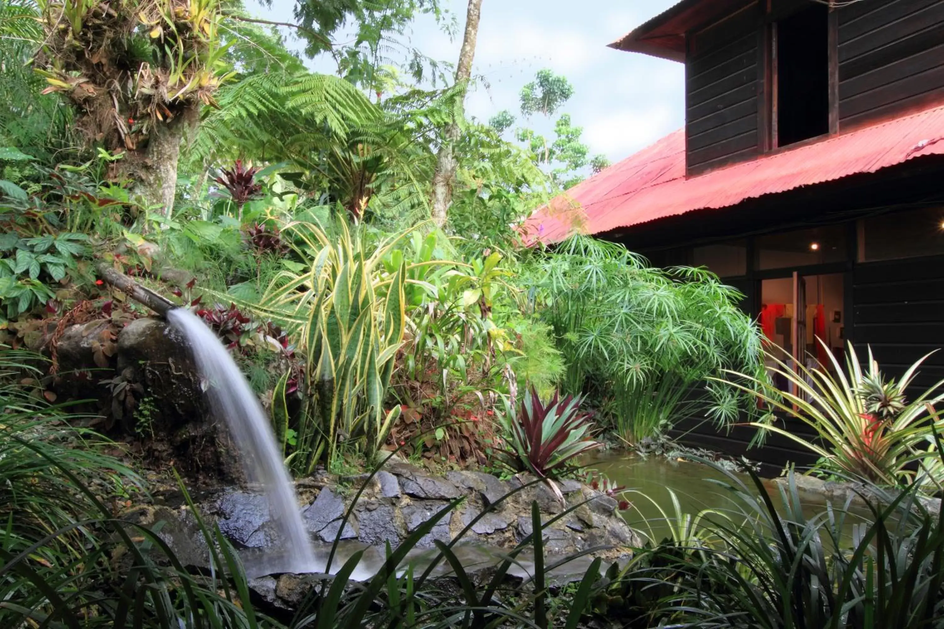 Garden in Argovia Finca Resort