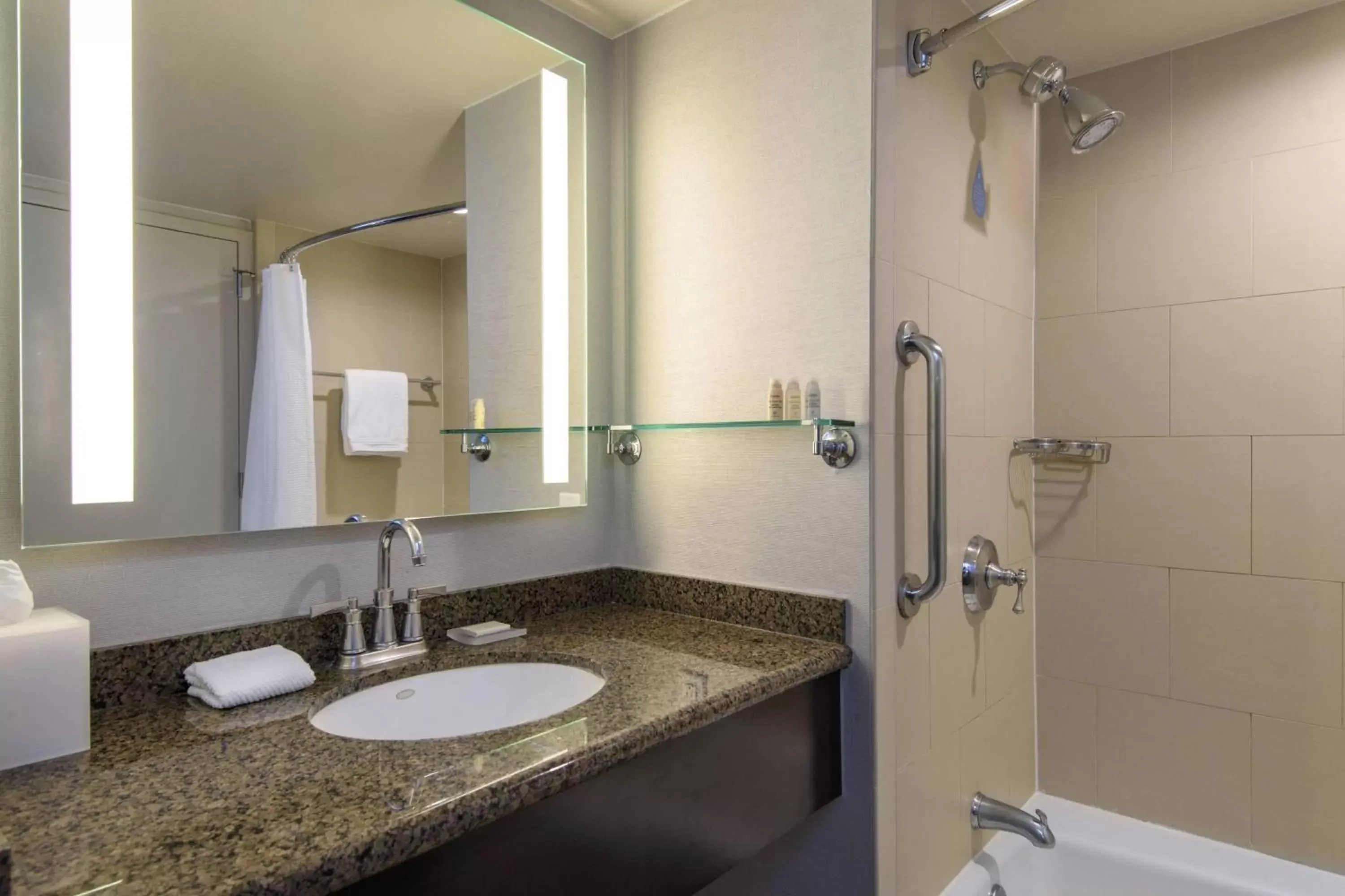 Bathroom in Renaissance Palm Springs Hotel