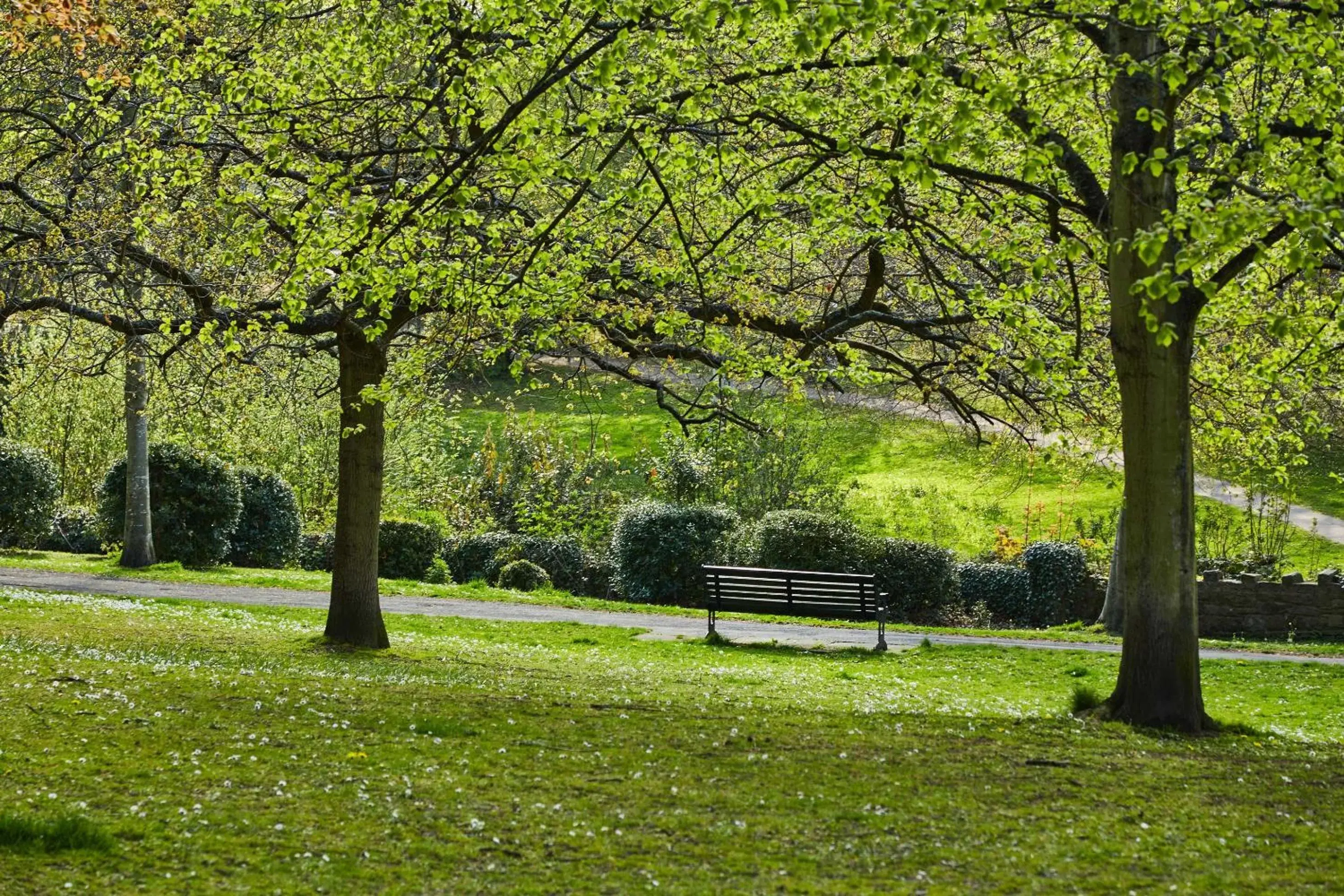 Nearby landmark, Garden in The Beaumont Hexham