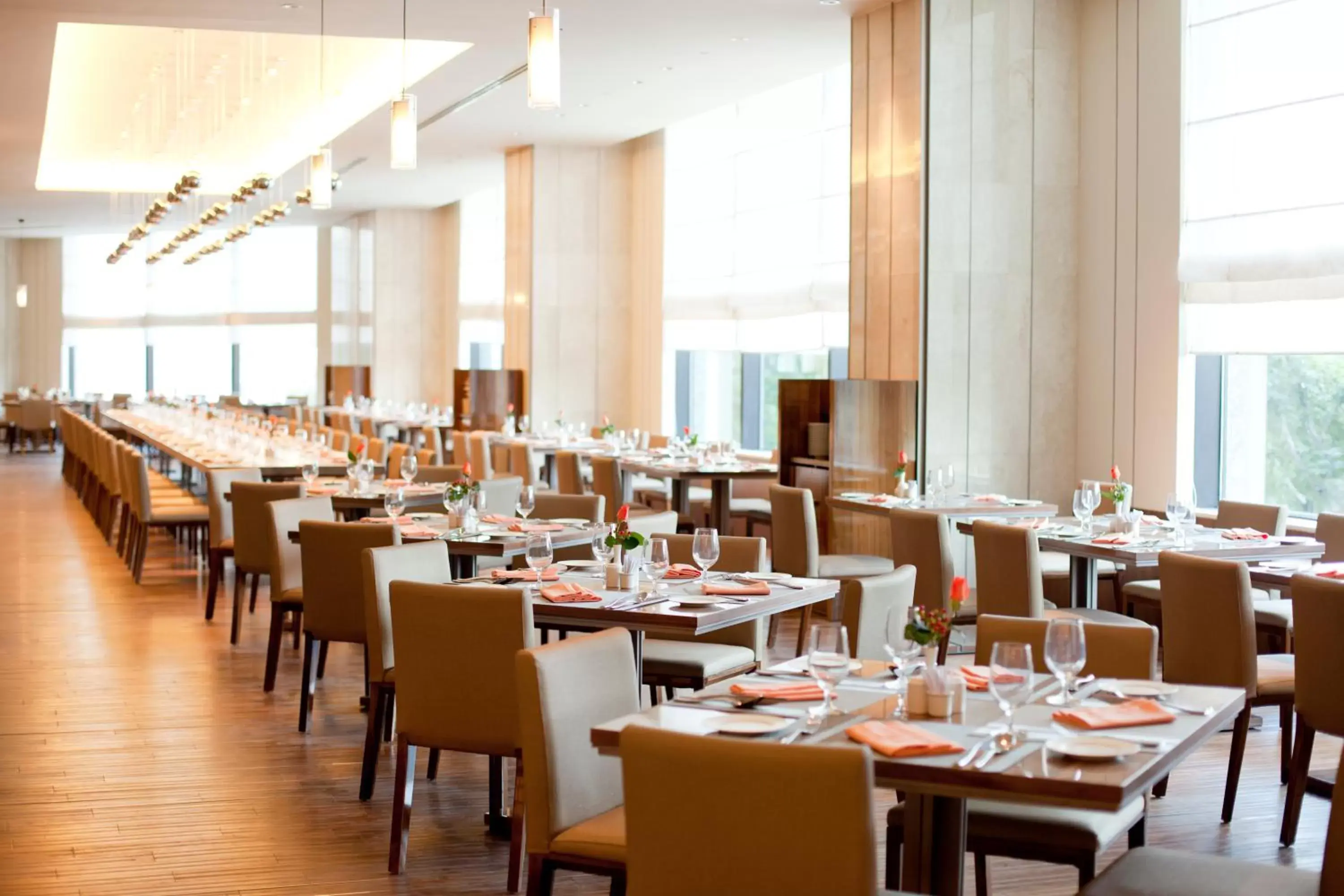 Restaurant/places to eat in Hotel Nikko Saigon Restaurant/places to eat in Hotel Nikko Saigon