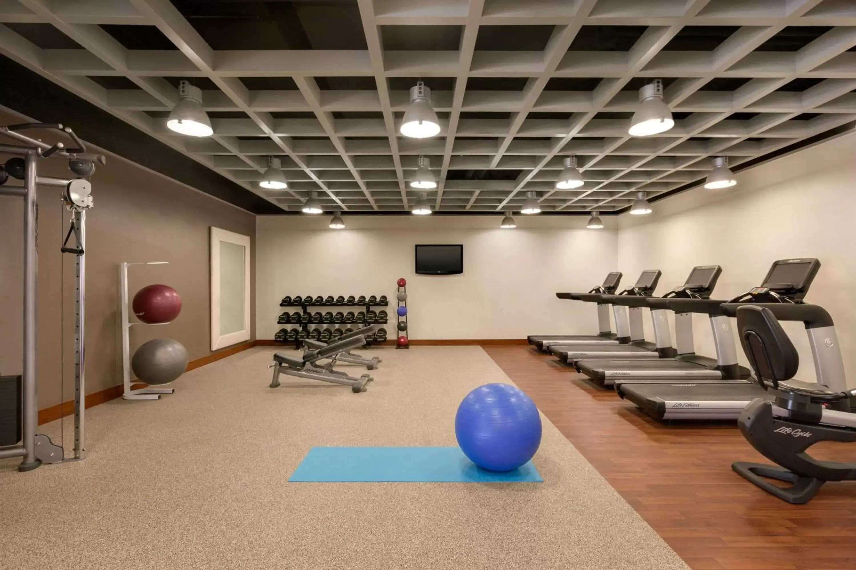 Fitness centre/facilities in Hilton Baltimore BWI Airport Fitness centre/facilities in Hilton Baltimore BWI Airport