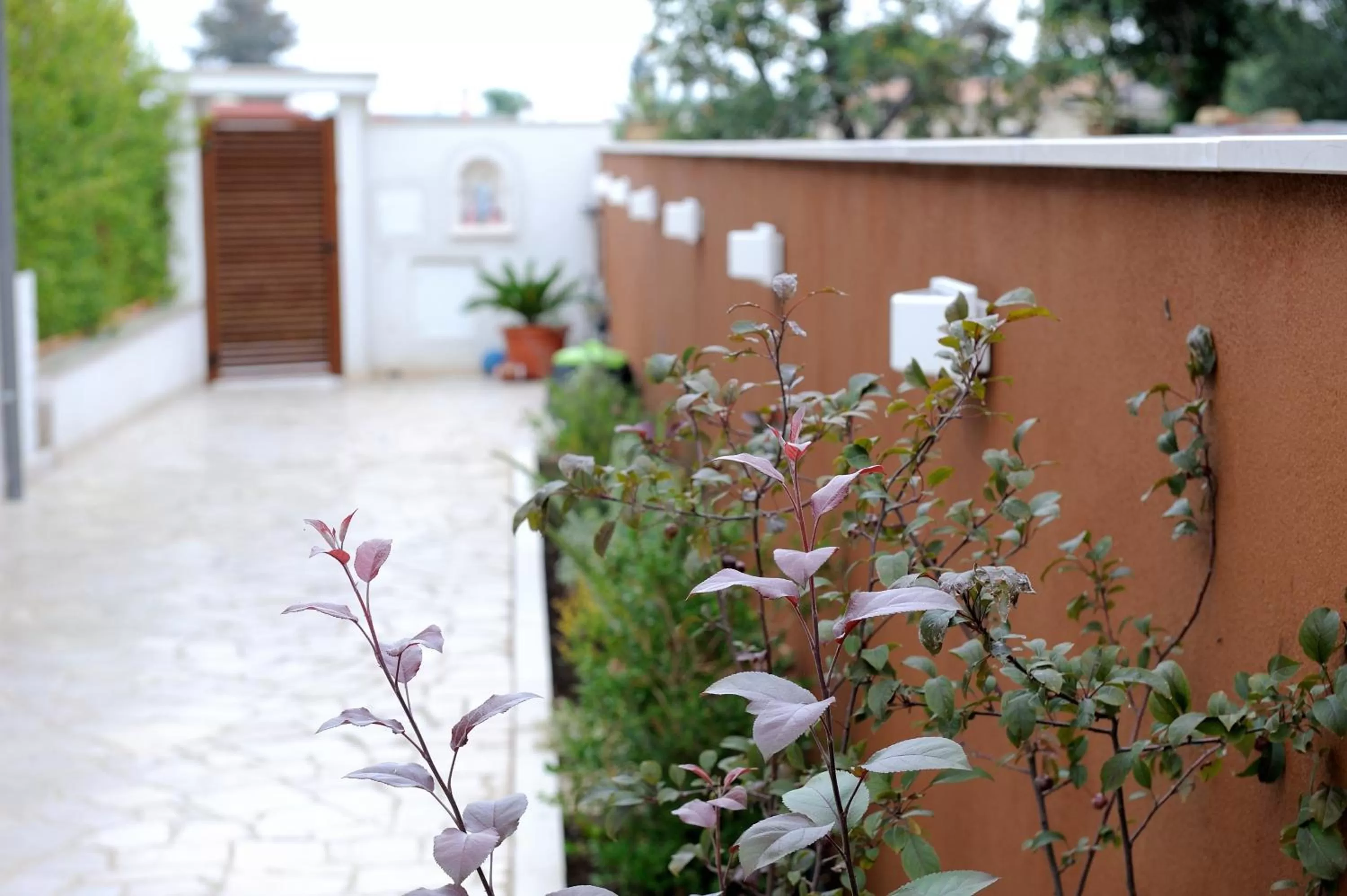 Garden in B&B Sun House