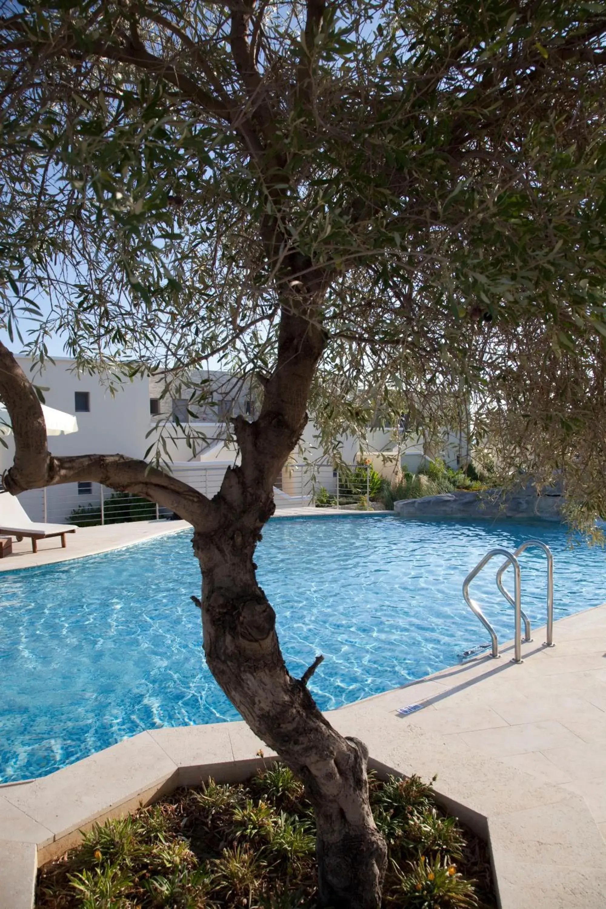 Swimming Pool in Port Royal Villas and Spa - Adults Only