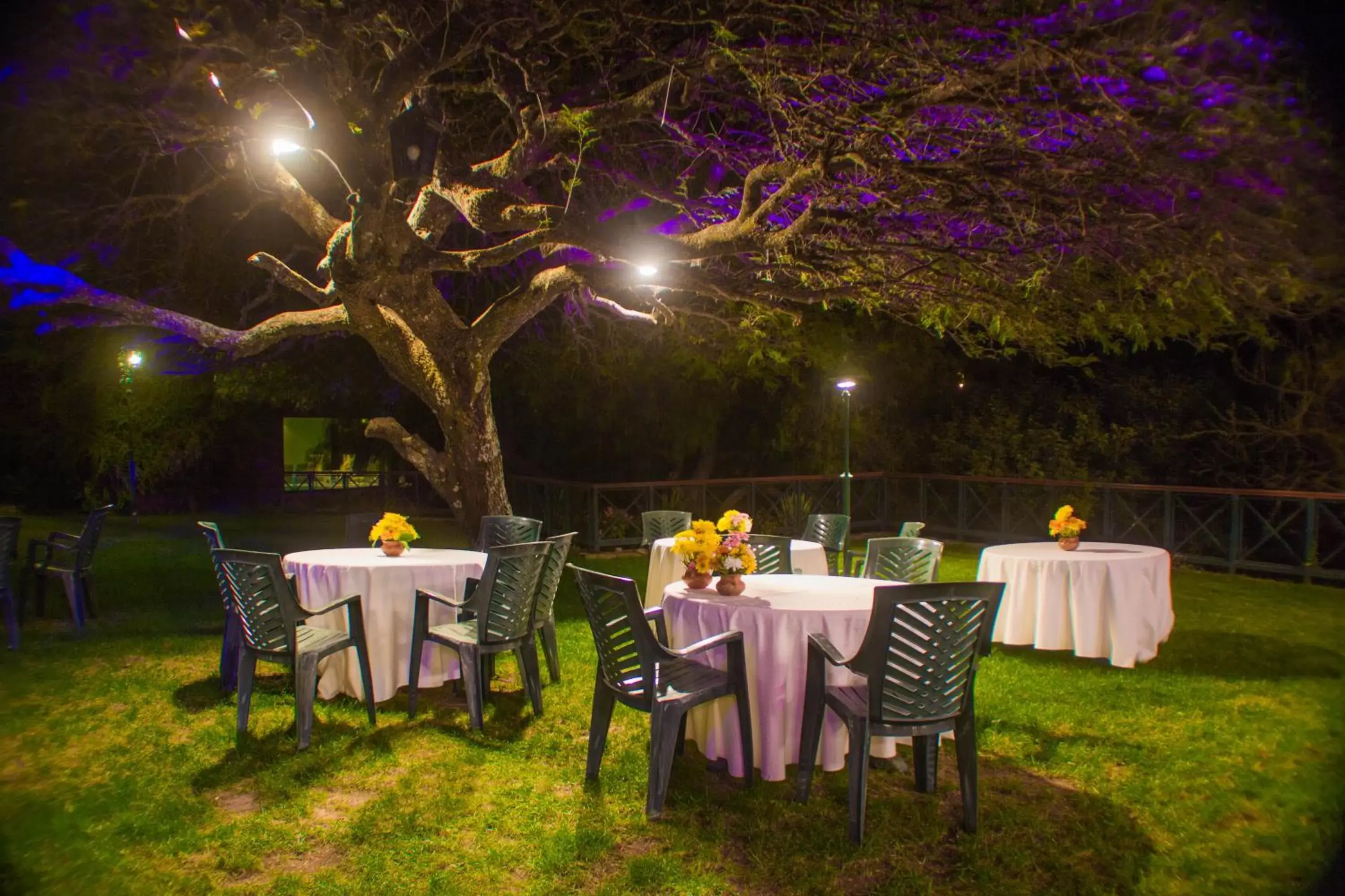 Garden, Restaurant/Places to Eat in Hotel Los Parrales