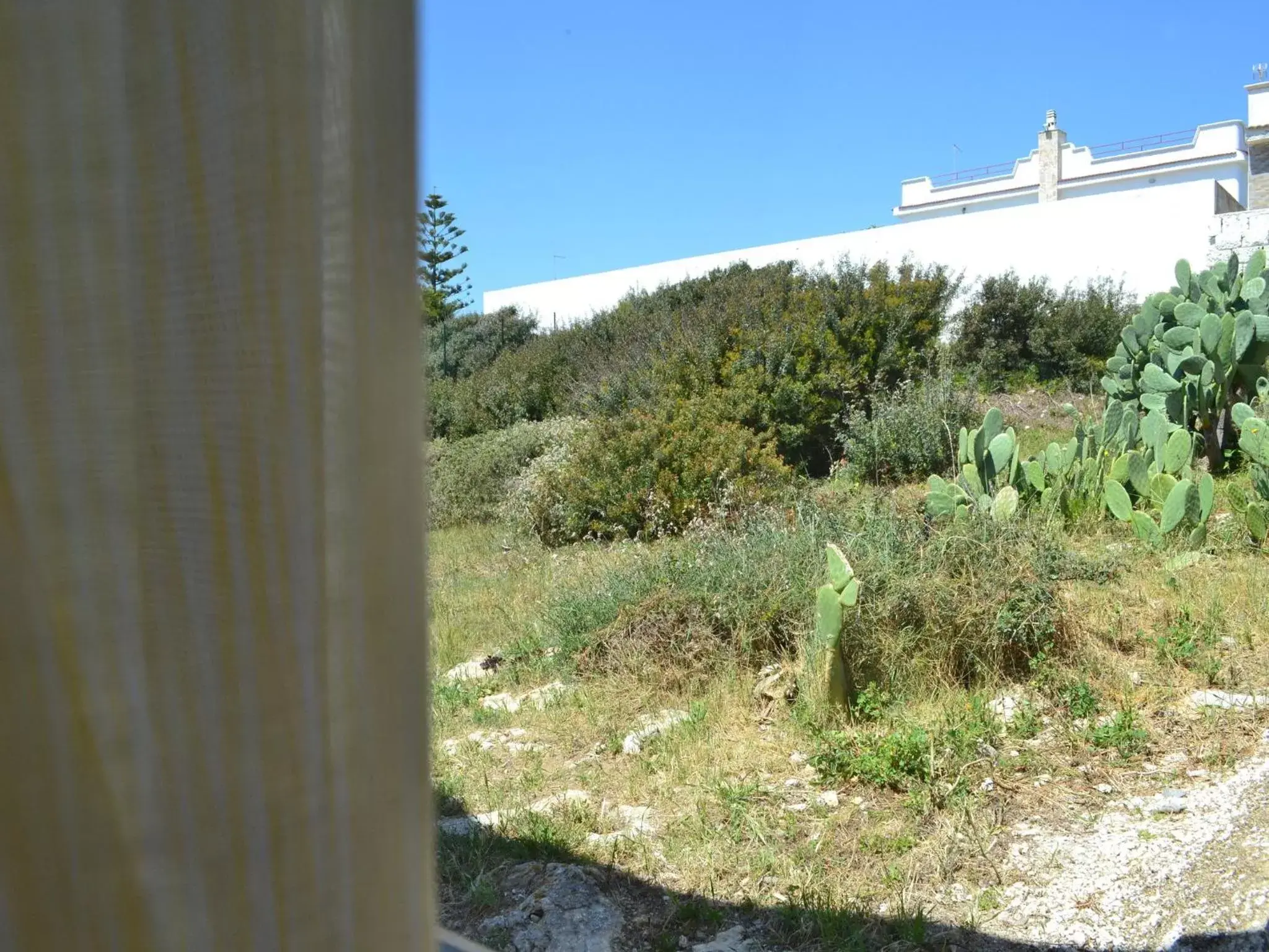 Garden view in Incanto delle Ninfe