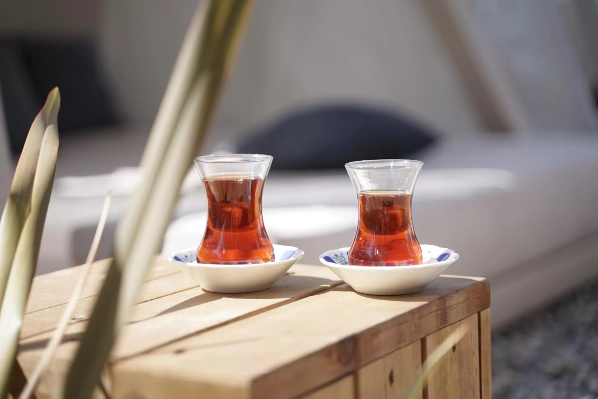 Drinks in Sunprime C-Lounge - Adult Only