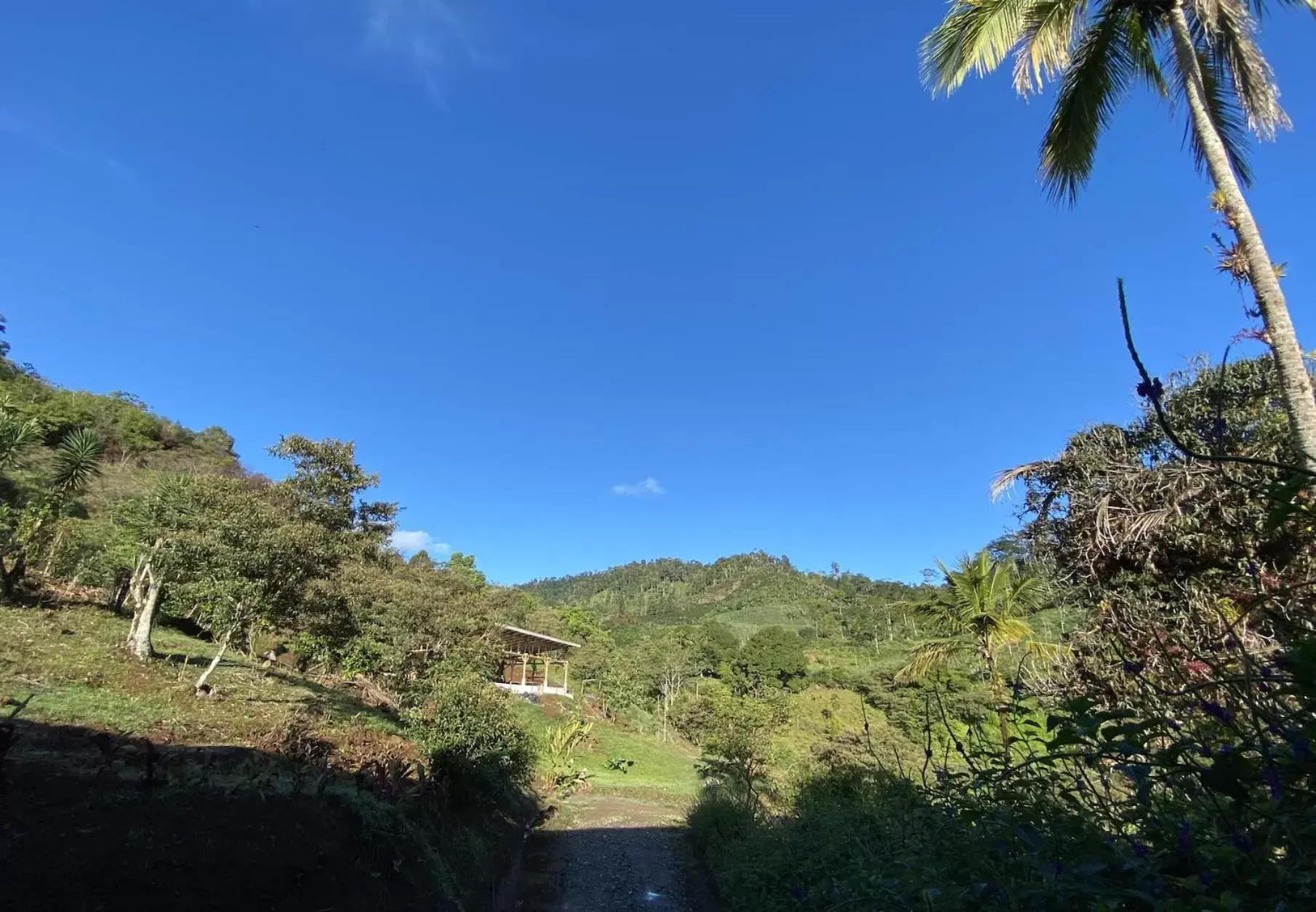 View (from property/room) in Arte de Plumas birding lodge