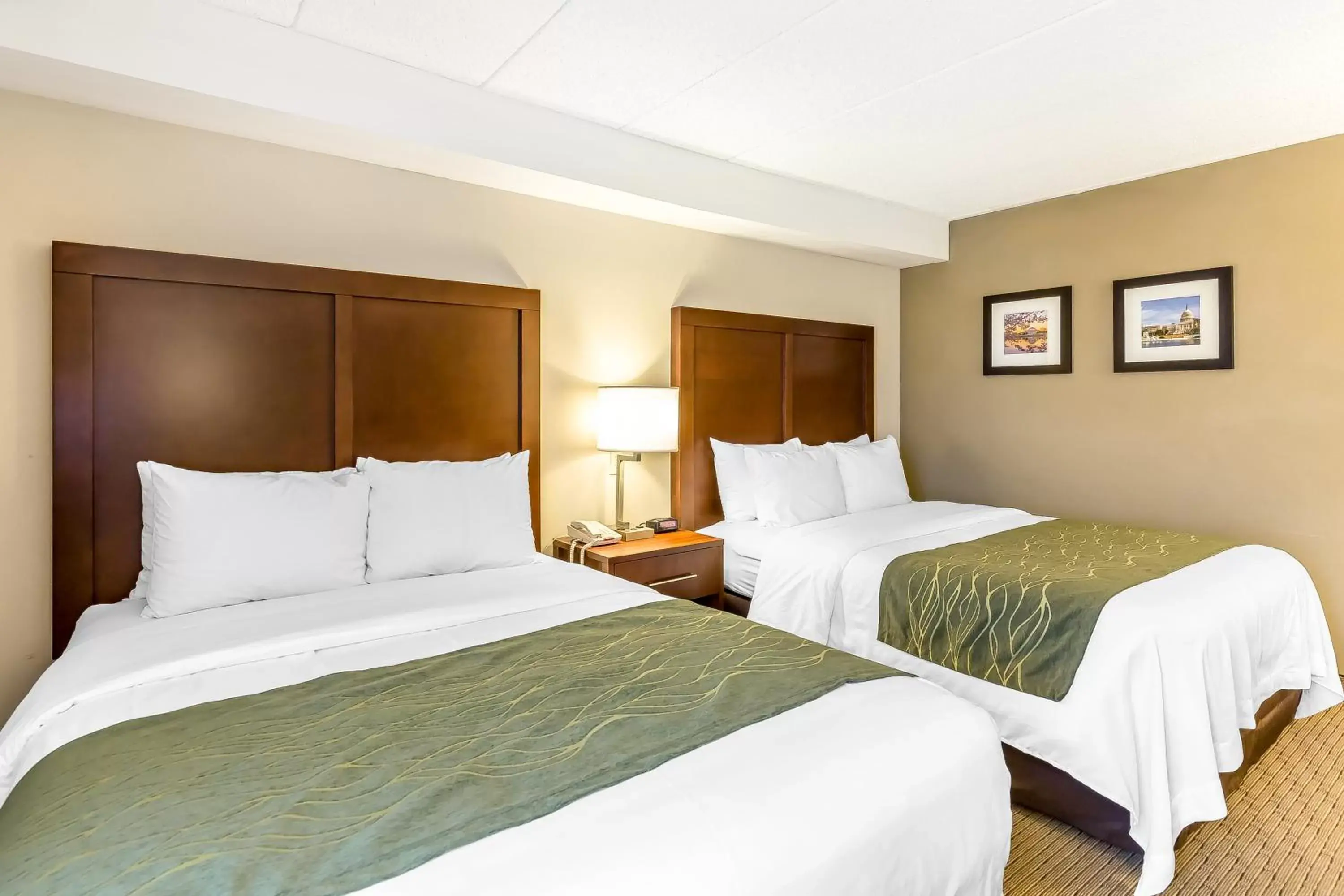 Bedroom, Bed in Comfort Inn Shady Grove - Gaithersburg - Rockville