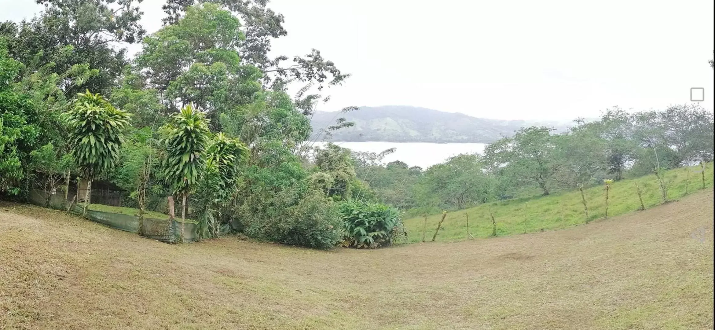 Natural landscape in La Ceiba Tree Lodge