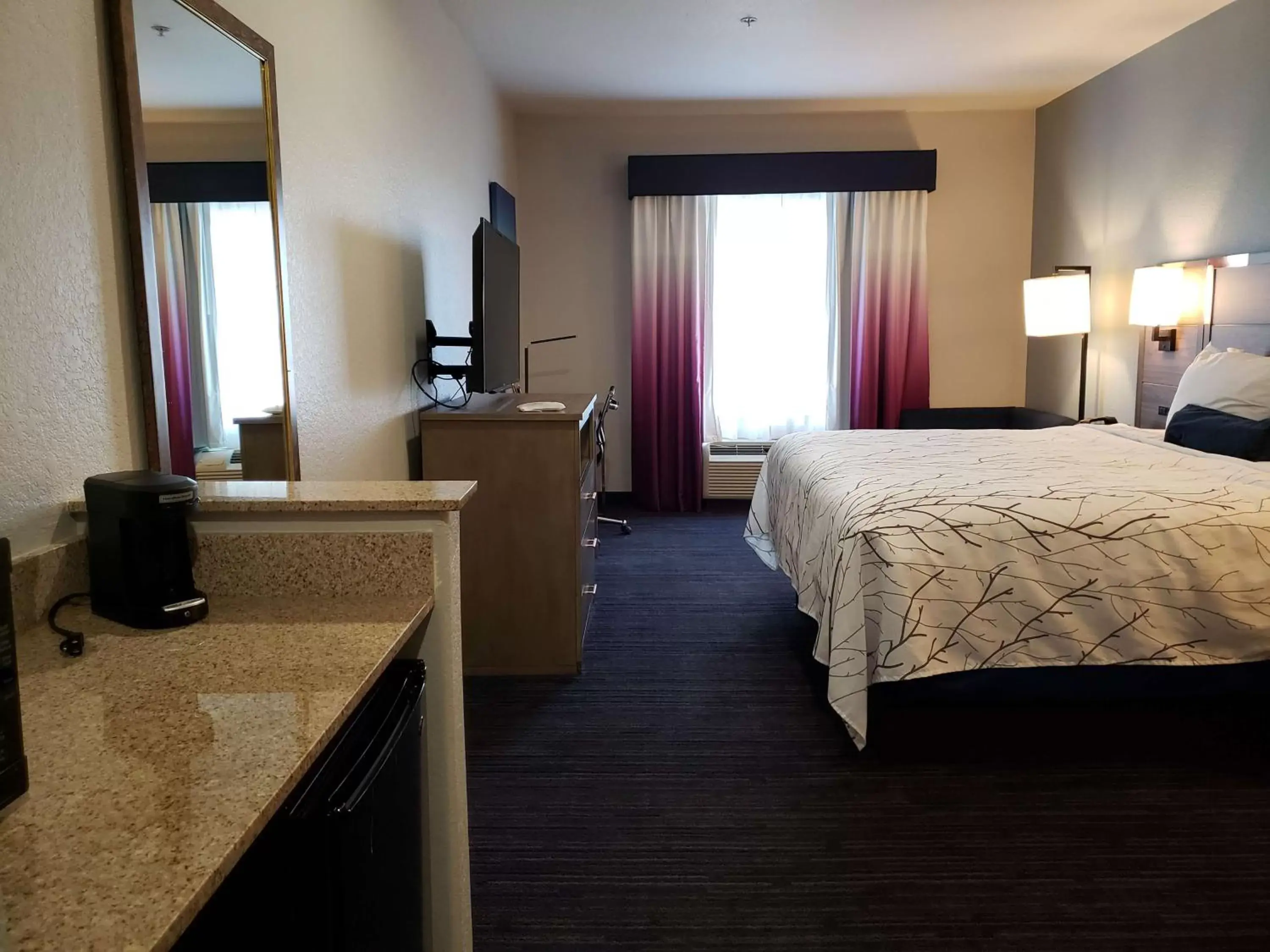Photo of the whole room in Best Western Plus San Antonio East Inn & Suites