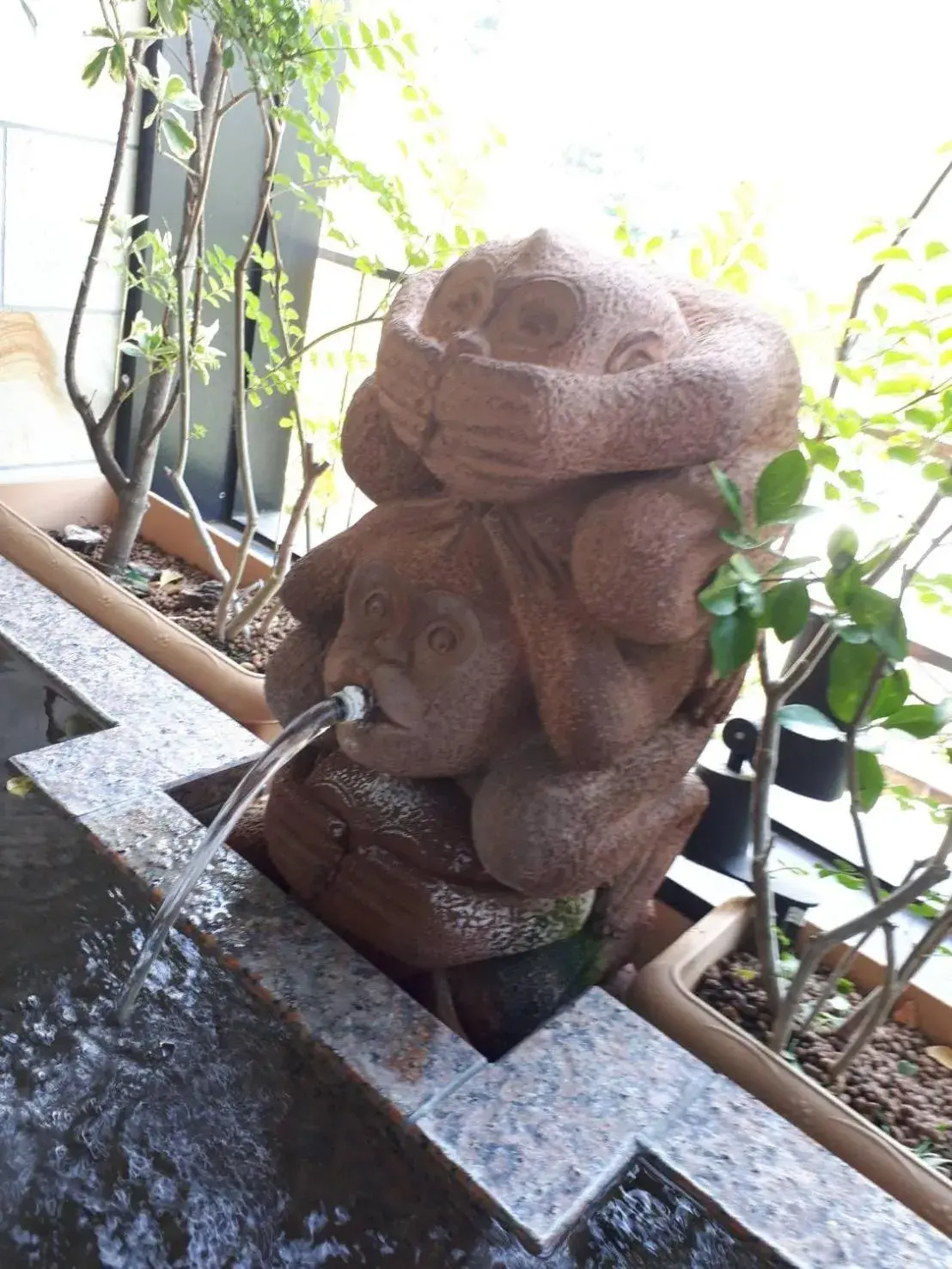 Bathroom, Other Animals in Balinese onsen ryokan Hakone Airu