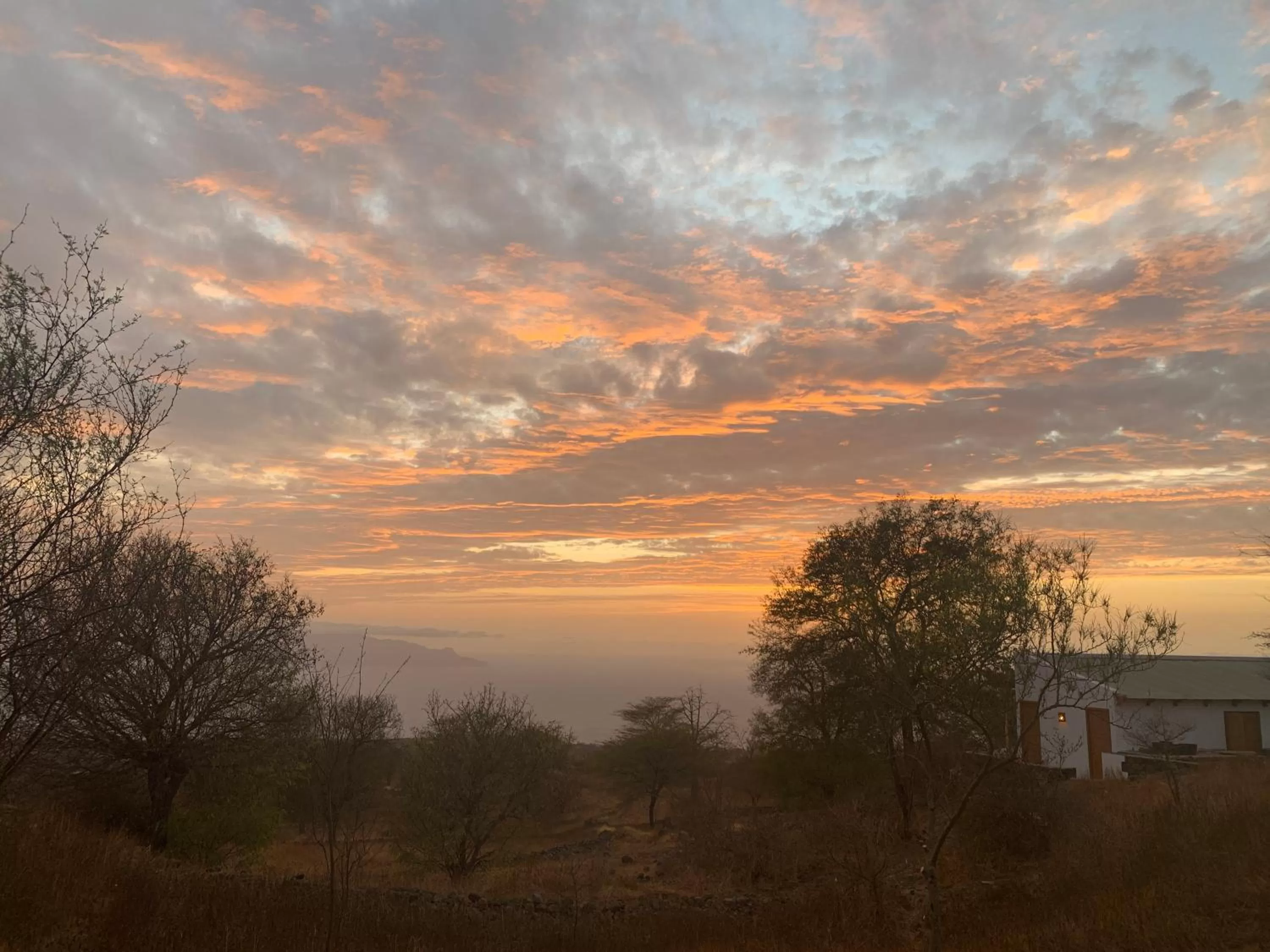 Garden in La Fora Ecolodge