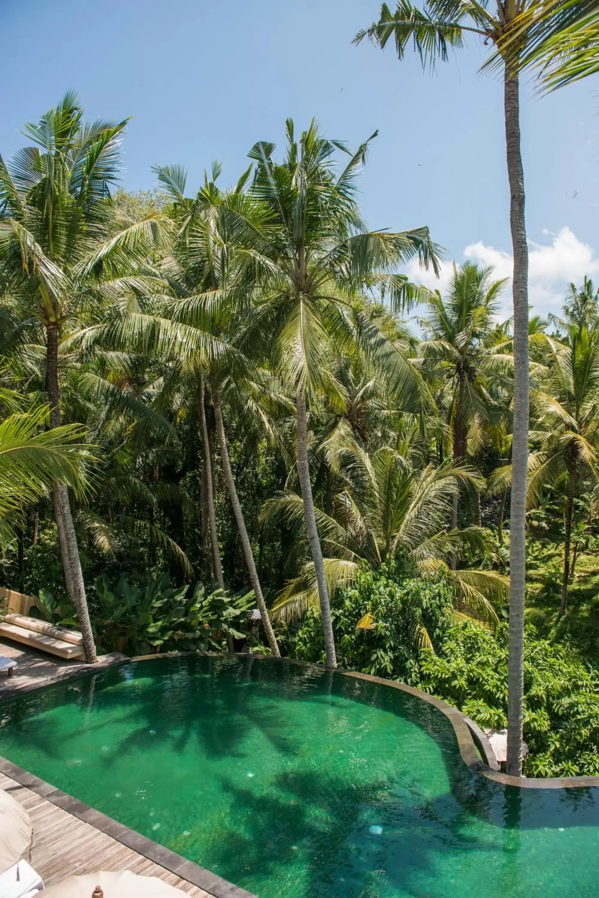 Pool view in Komaneka at Rasa Sayang Ubud Pool view in Komaneka at Rasa Sayang Ubud