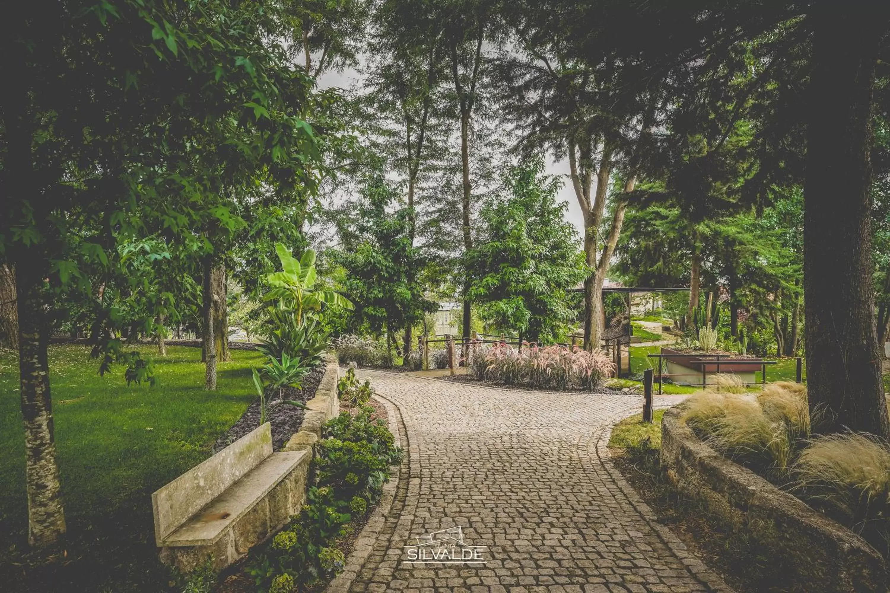 Natural landscape, Garden in Quinta de Silvalde