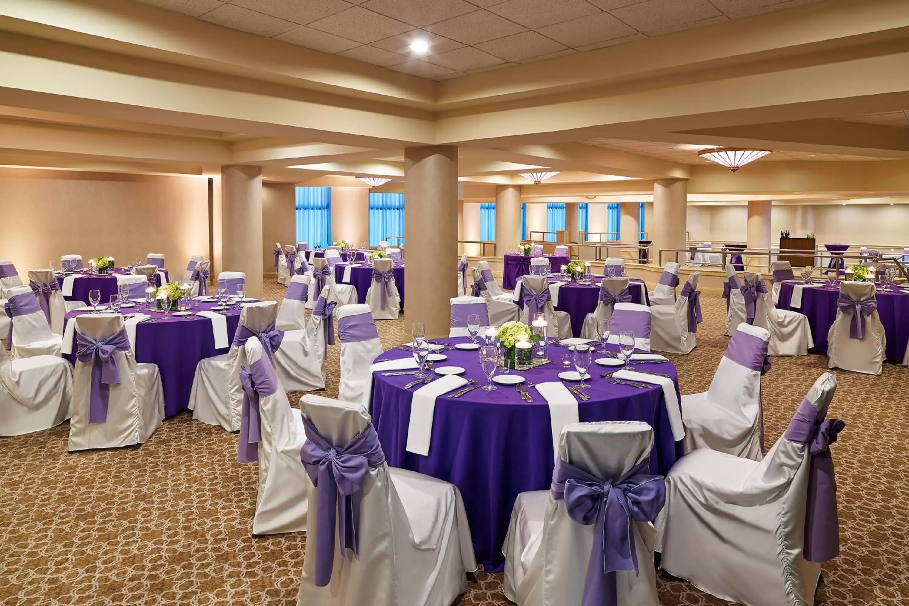 Meeting/conference room, Banquet Facilities in Sheraton Baltimore North