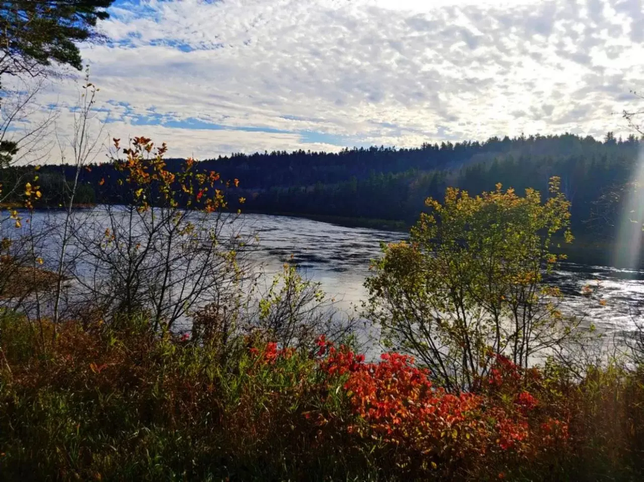 Natural landscape in Hôtel Marineau Mattawin