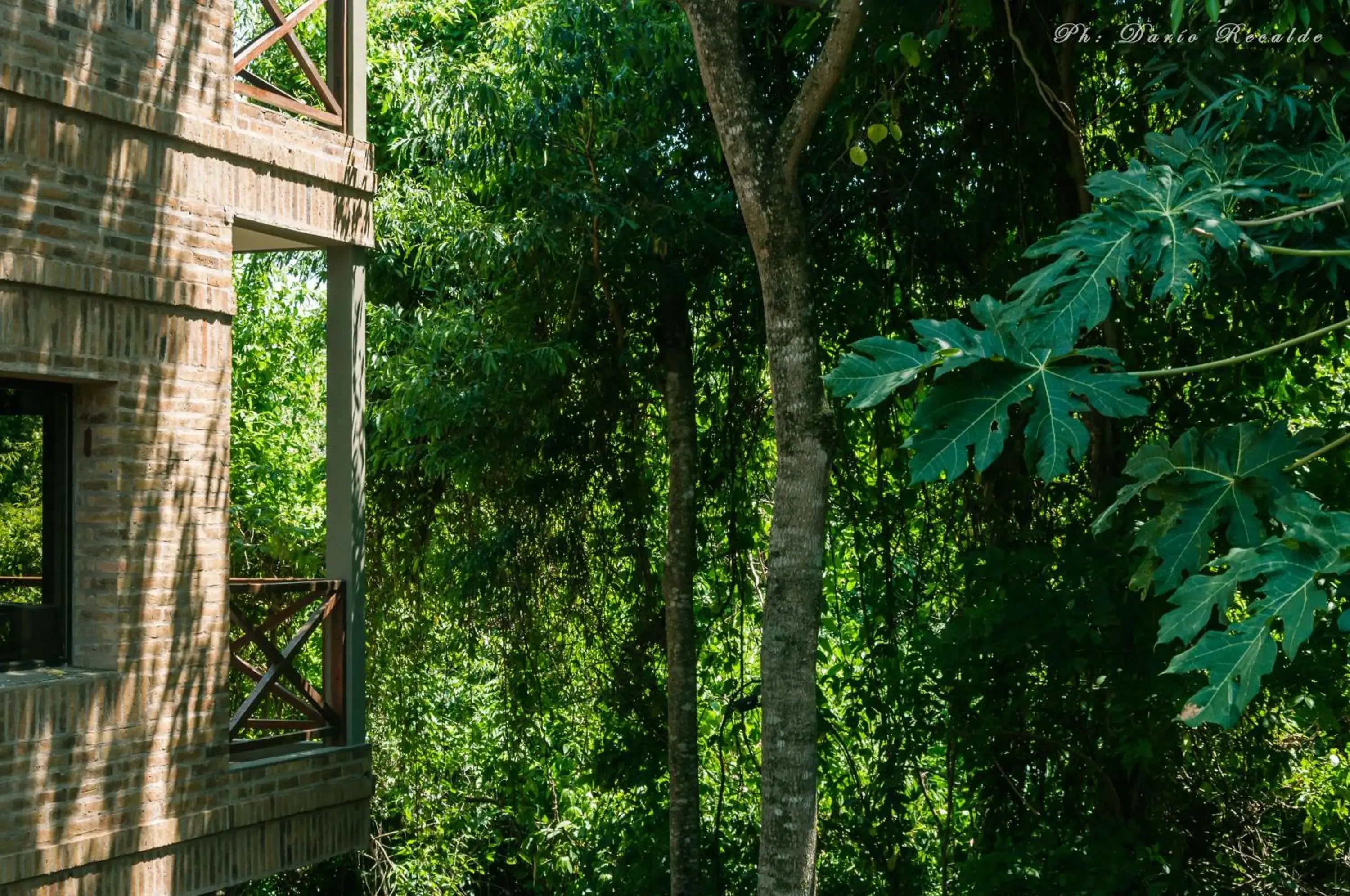 Garden in Village Cataratas