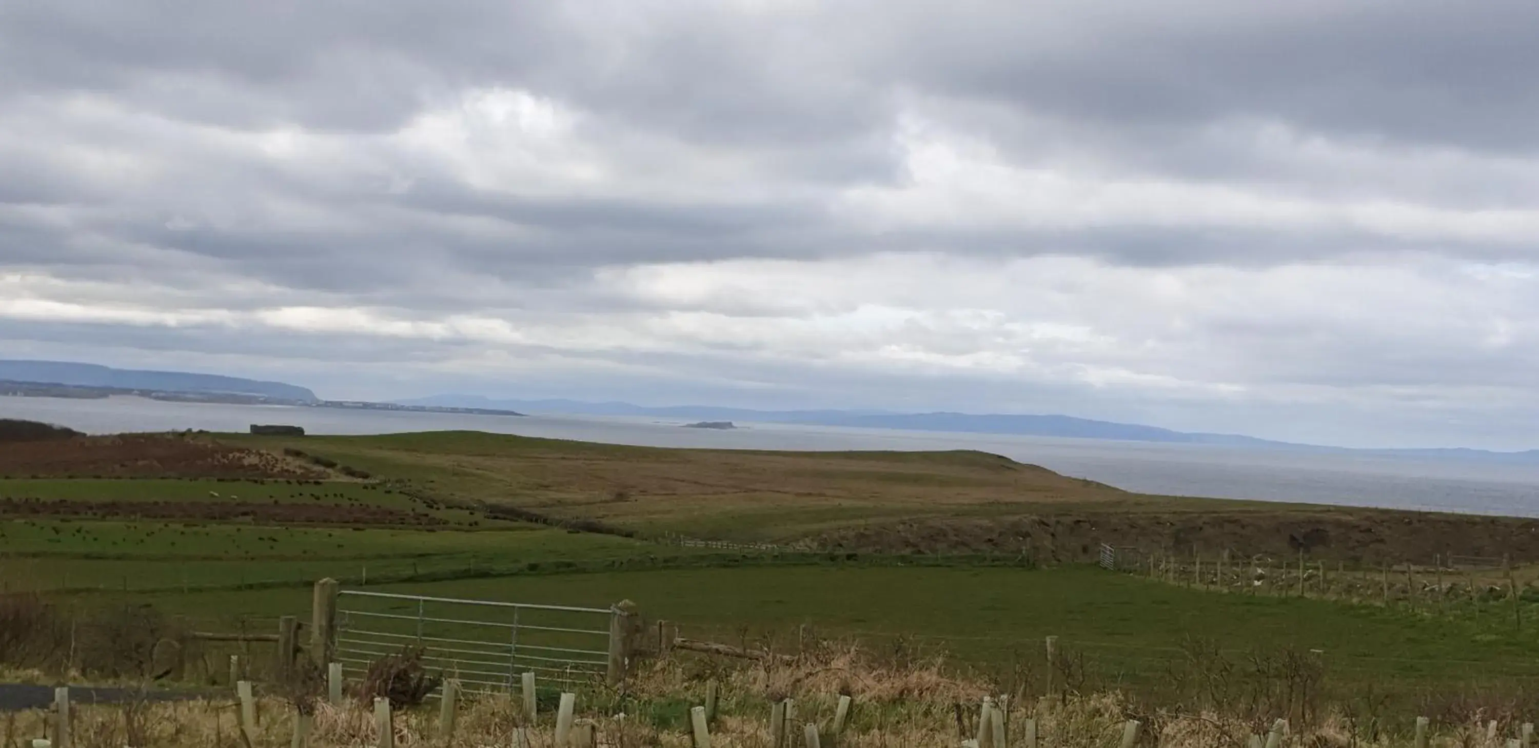 Natural landscape in Causeway Hotel