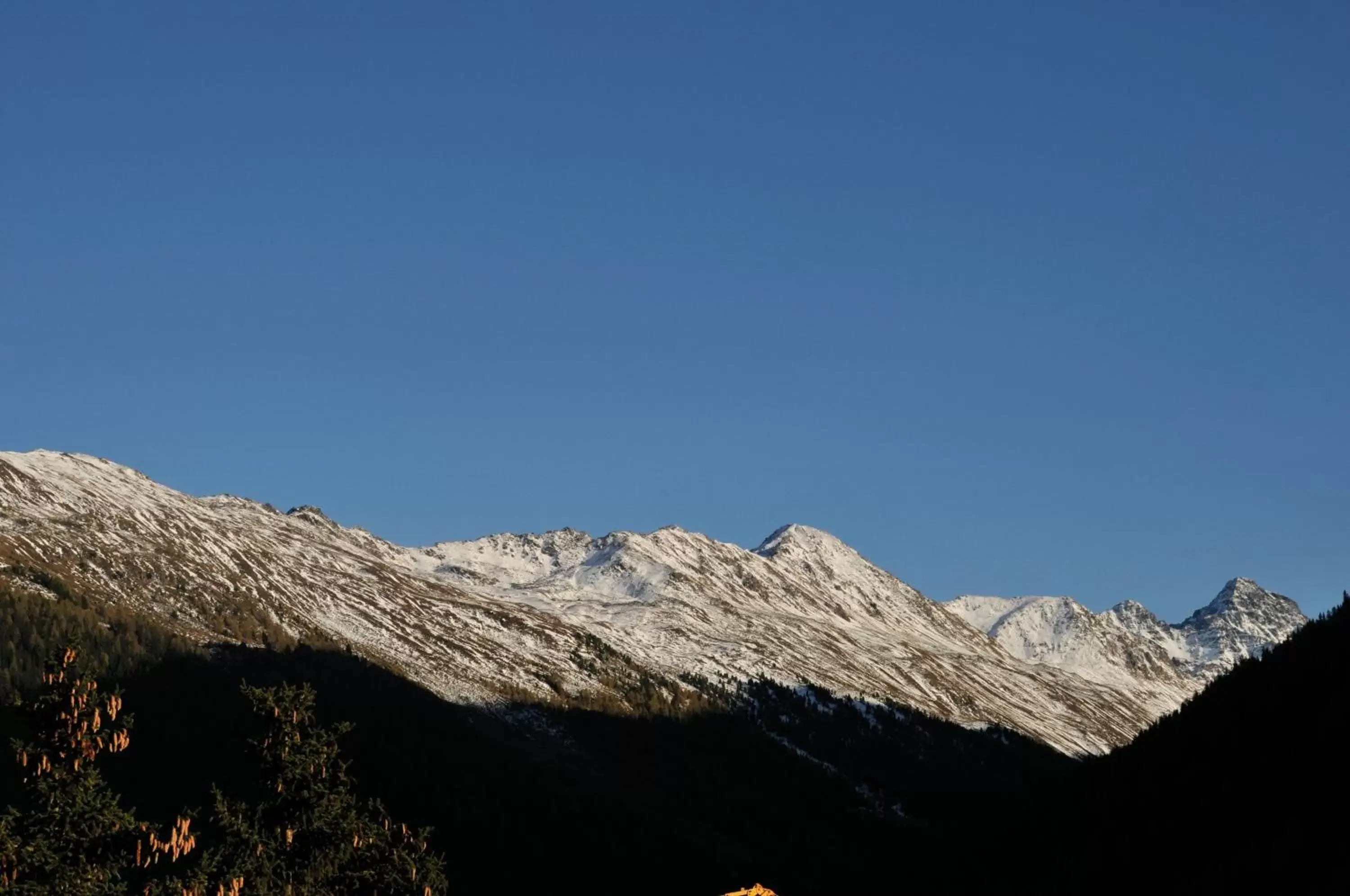 Area and facilities, Winter in Hotel Edelweiss