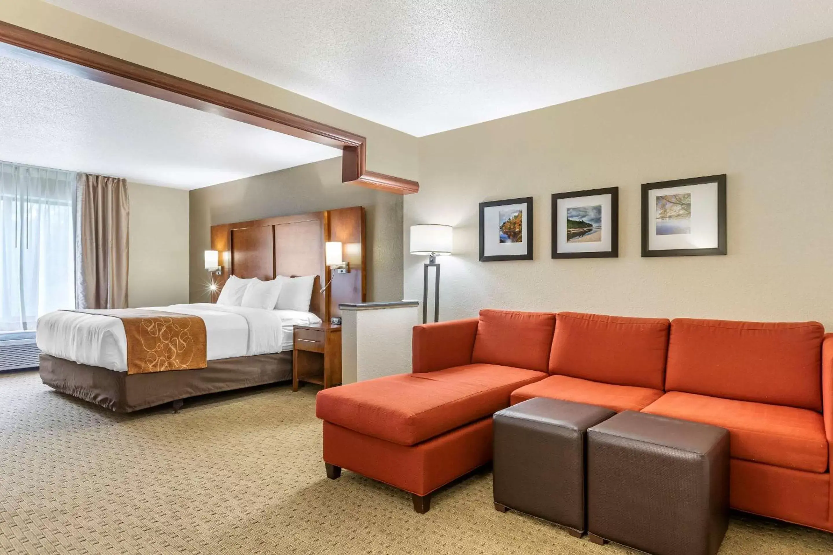 Photo of the whole room, Room Photo in Comfort Suites Grand Rapids North
