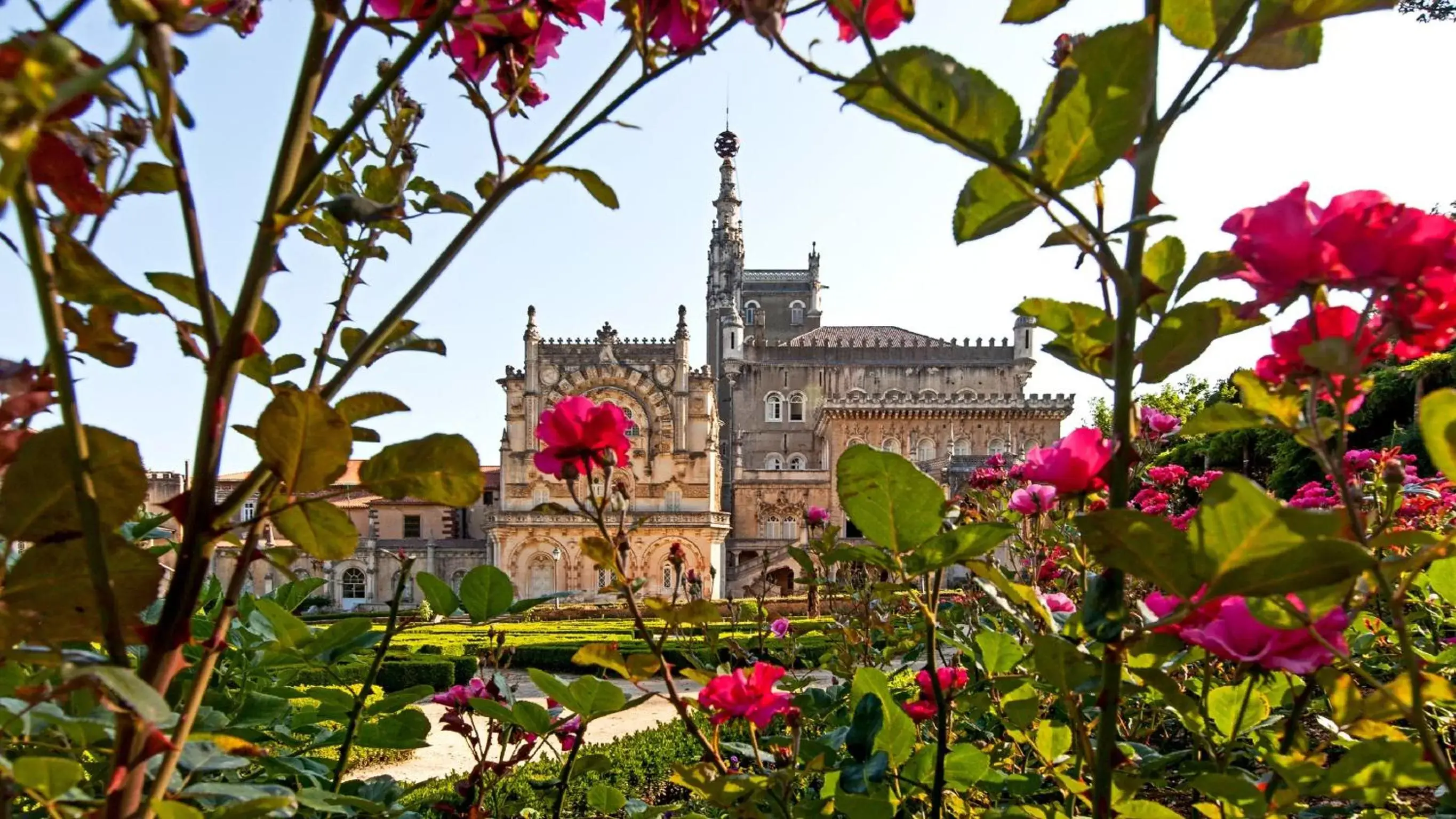 Romantic Package - Double Room  in Palace Hotel do Bussaco