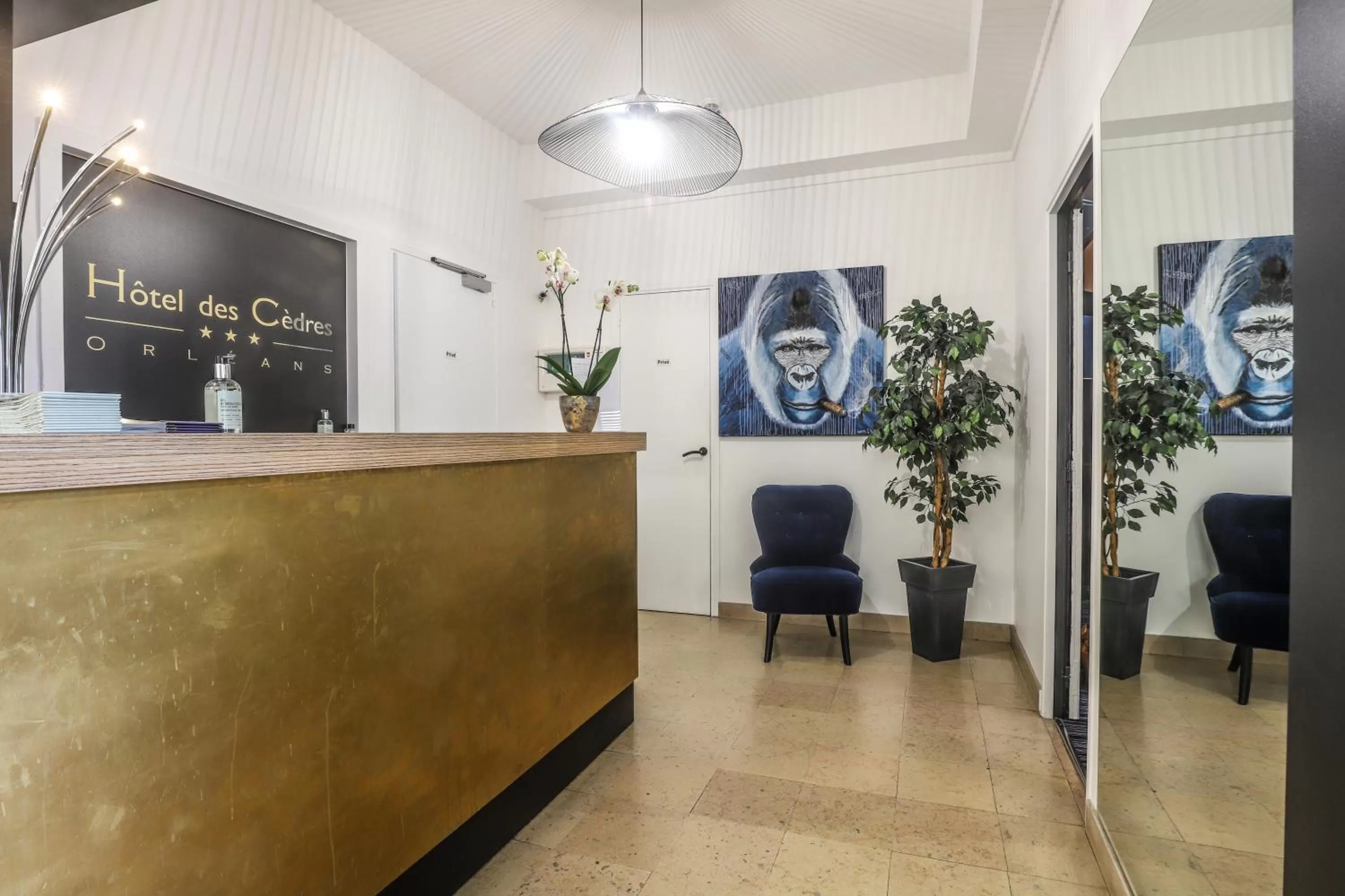 Lobby or reception in Hotel Des Cedres